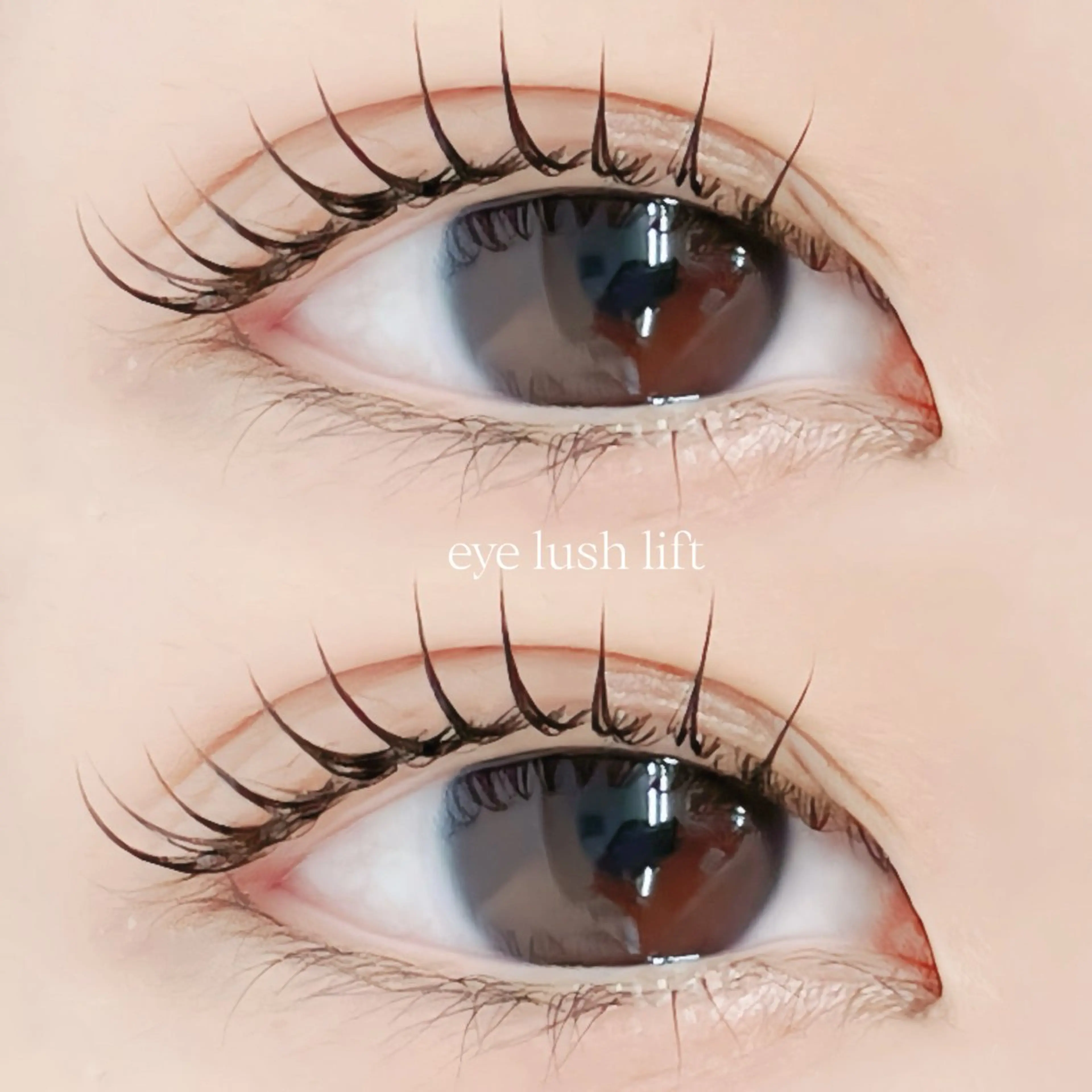 マツエク・マツパ マツパ mai /マツパ.眉のマツエク・マツパデザイン