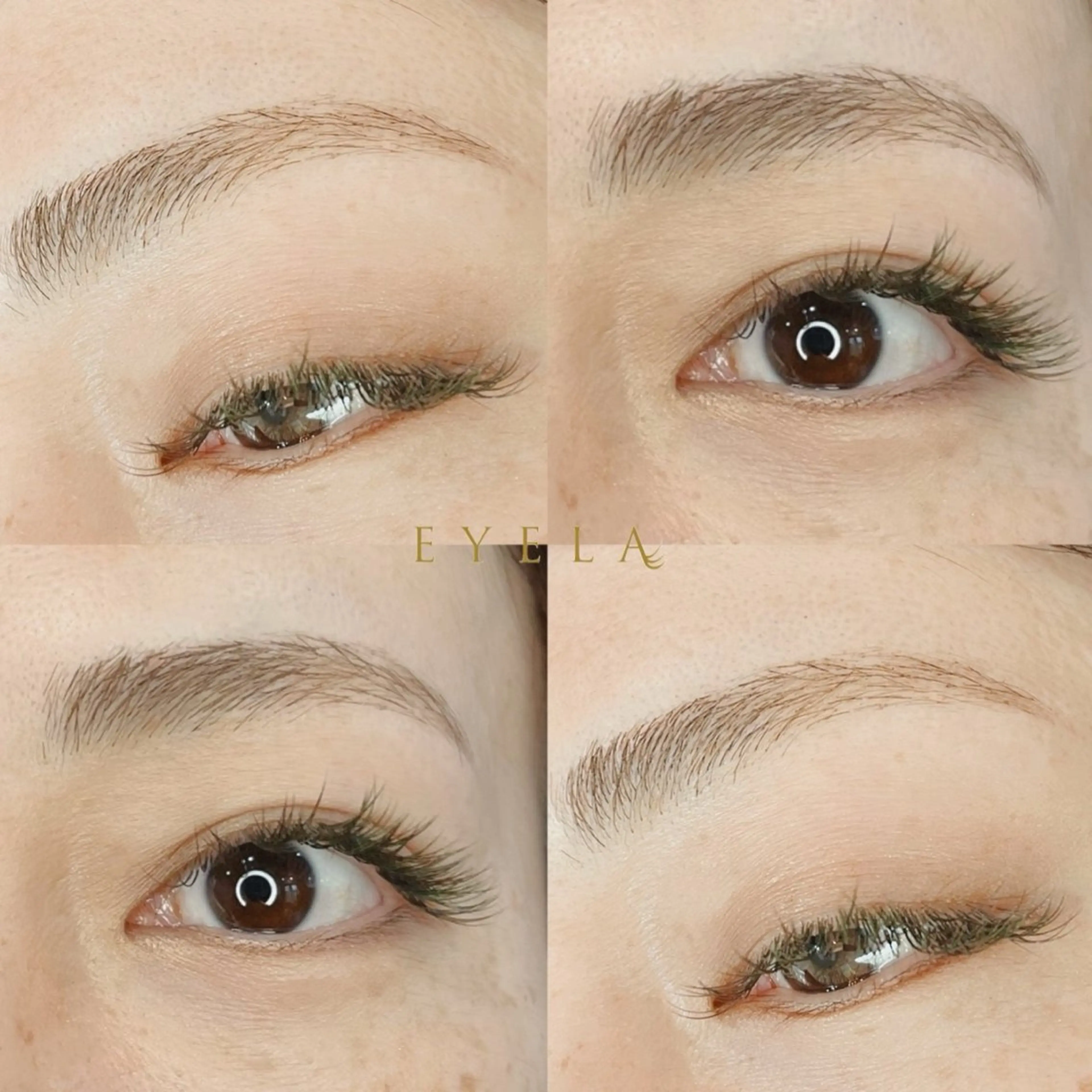 アイブロウ EYELA 山中の眉毛・アイブロウイメージ