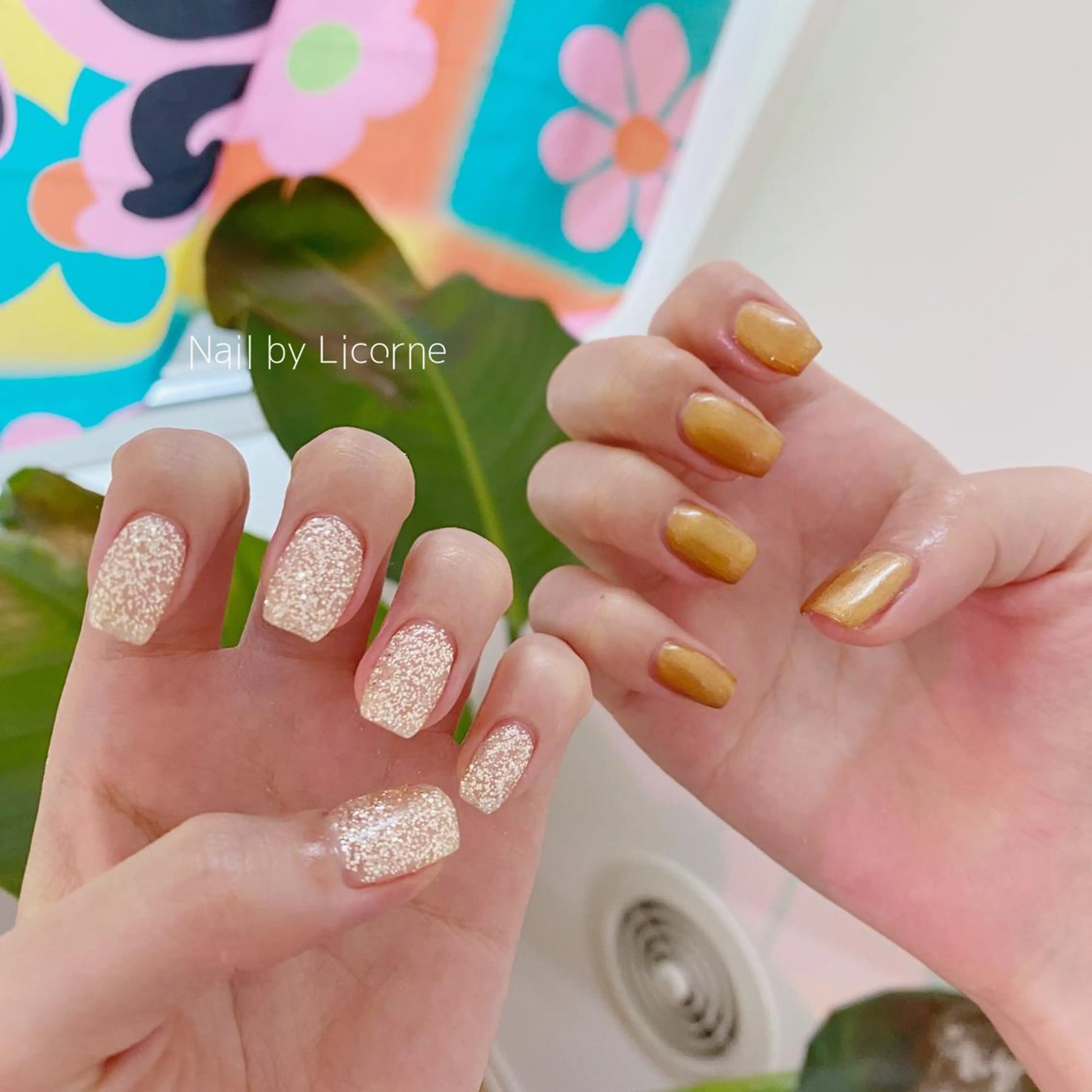 ネイル アートネイル オーロラネイル フレンチネイル 氷ネイル・うるうるネイル マグネットネイル ハンドネイル Nail by Licorneのネイルデザイン