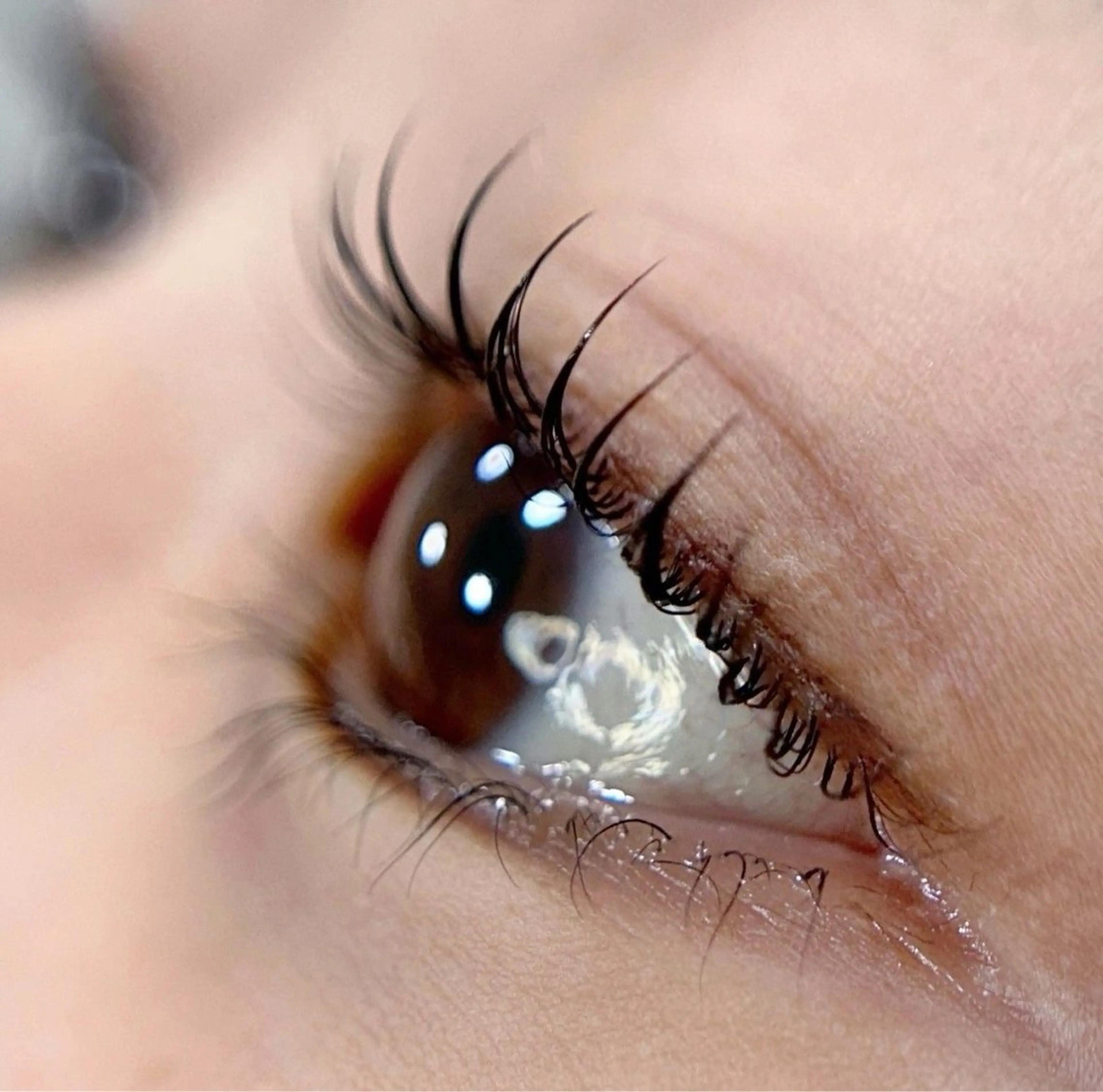 マツエク・マツパ マツパ ReBORN eyelash所属・ReBORN eye kanaのマツエク・マツパデザイン