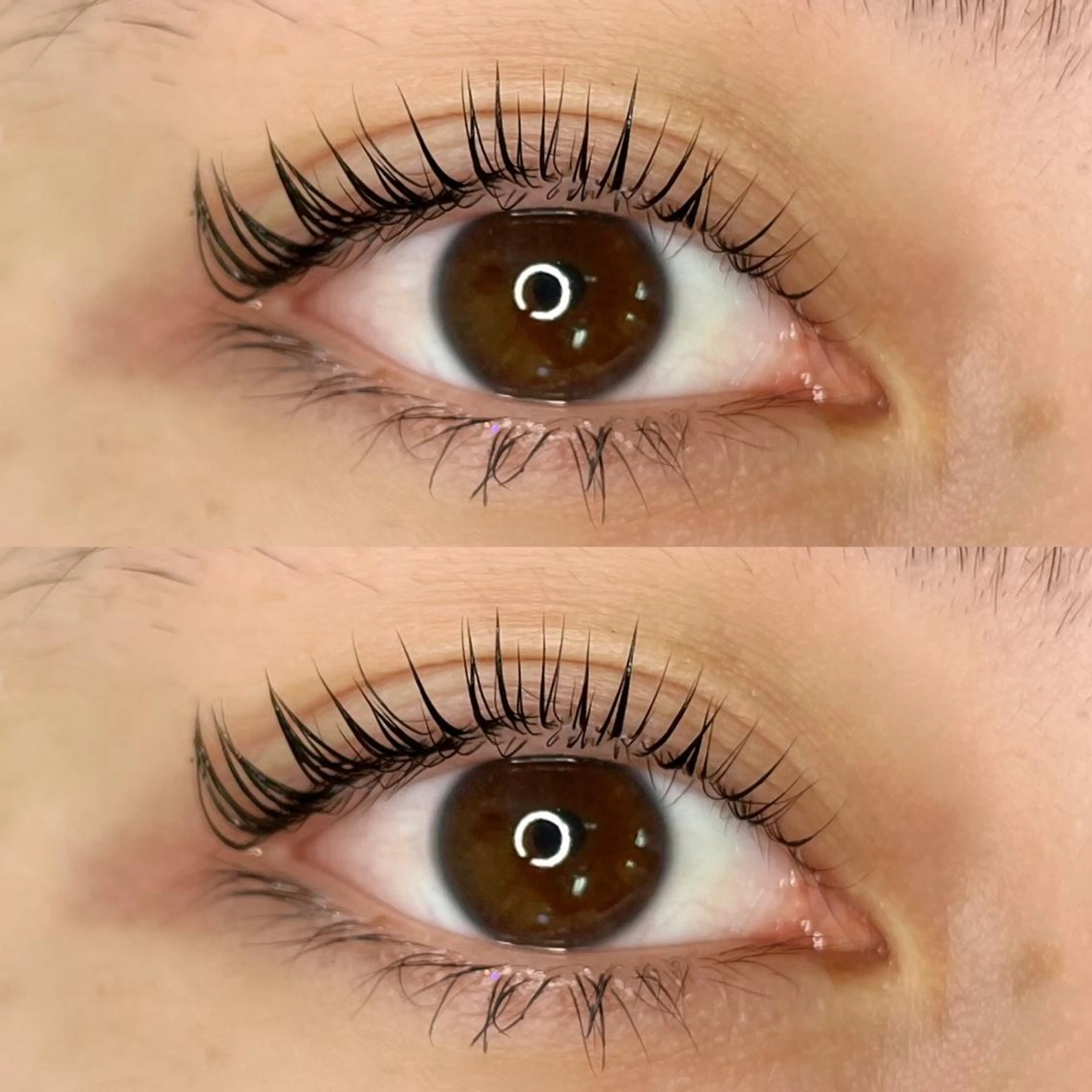 マツエク・マツパ パリジェンヌラッシュリフト 🌺 SAKI 🌺のマツエク・マツパデザイン