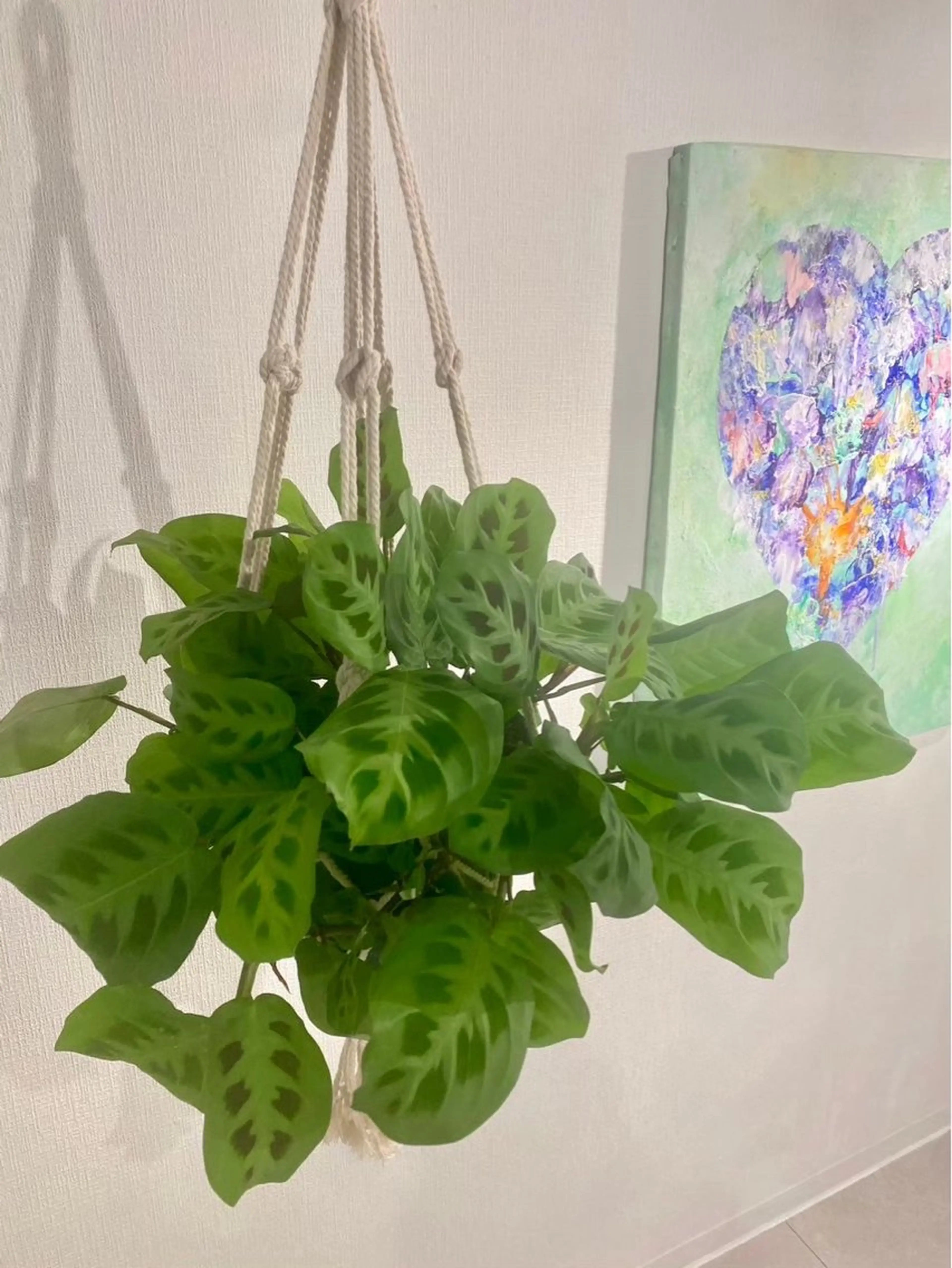 浦仲 千奈津のエステ・リラクイメージ