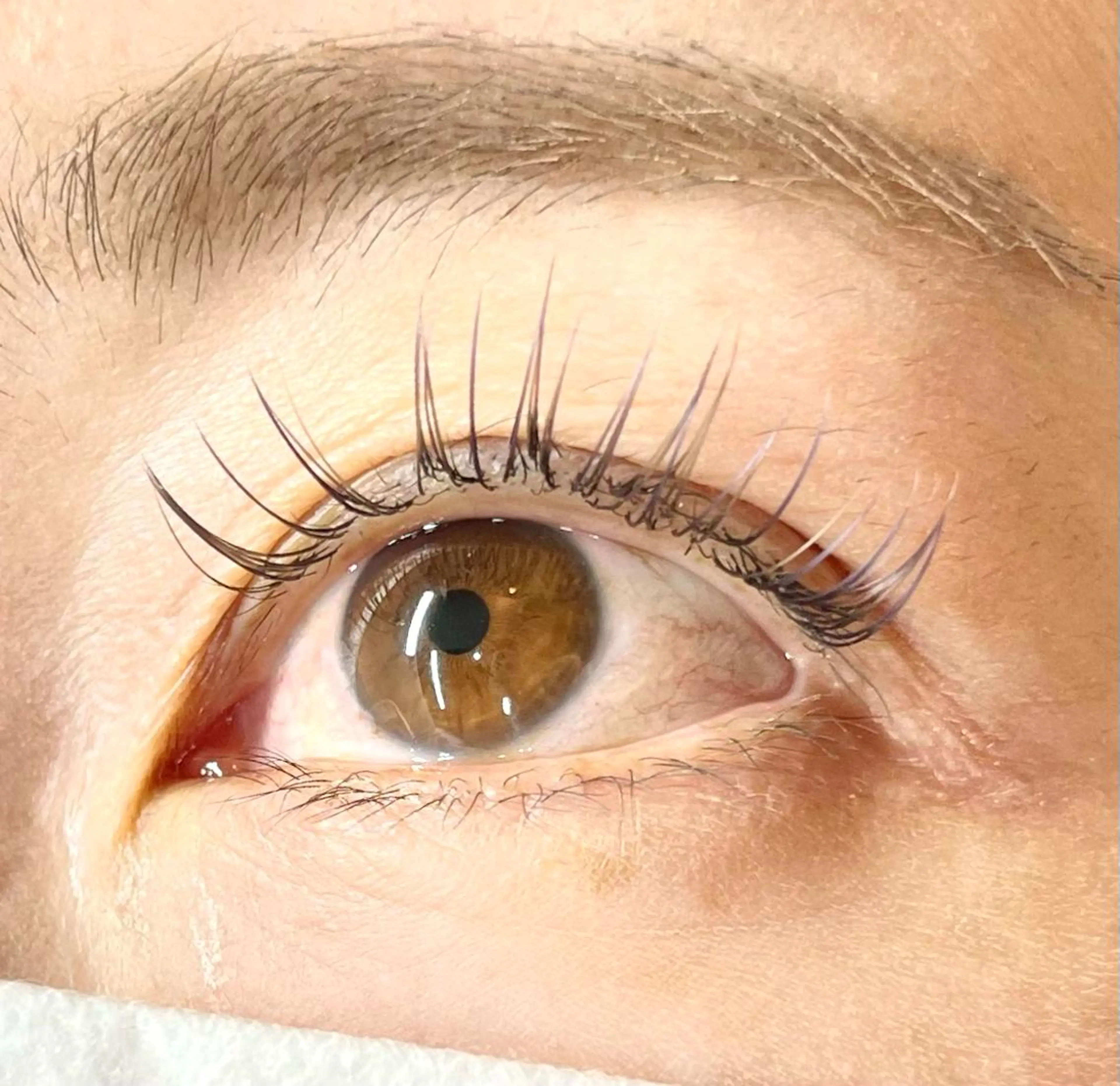 マツエク・マツパ anela MOMOKA🎀のマツエク・マツパデザイン