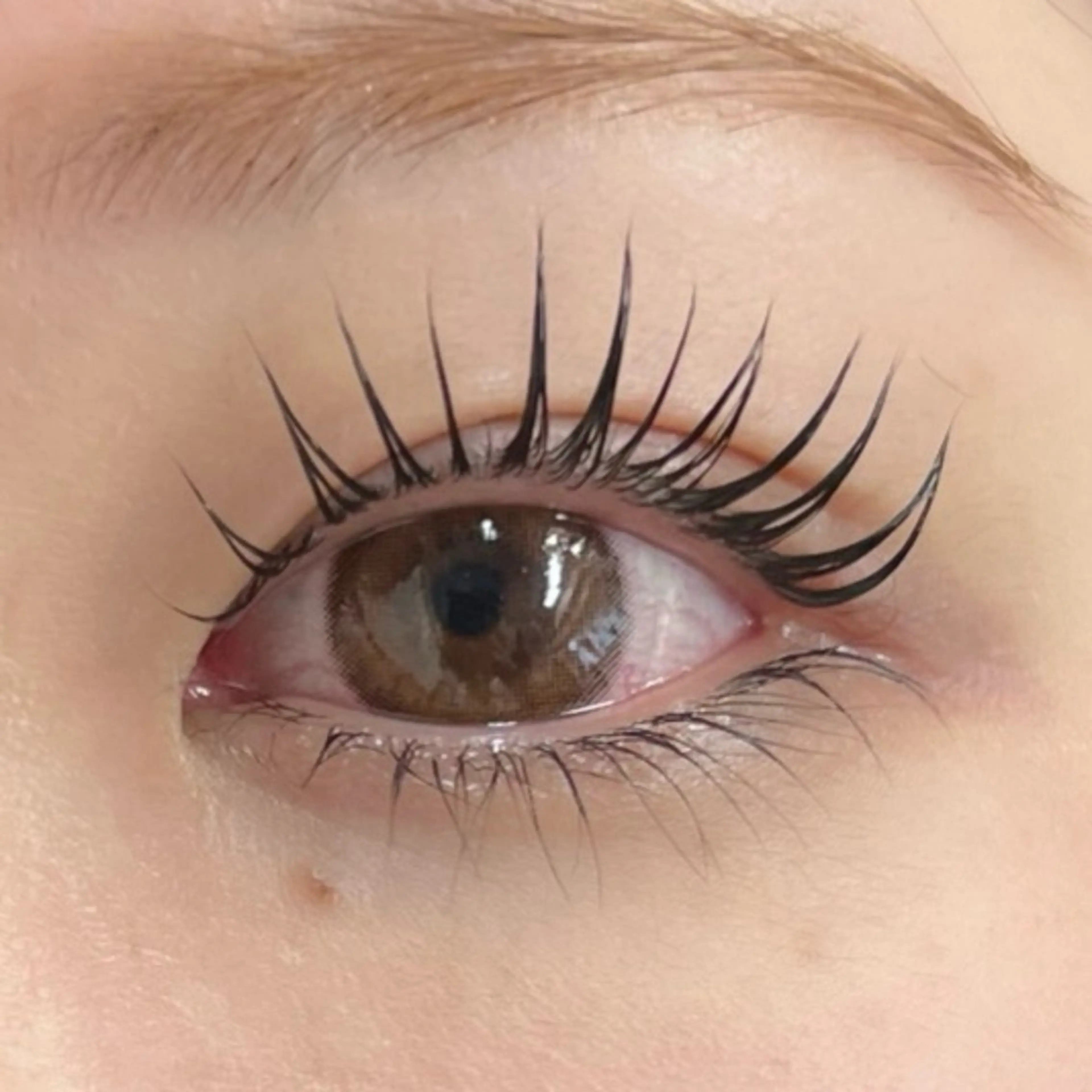 マツエク・マツパ マツパ Moe/韓国風/ 束感/キュート❤︎のマツエク・マツパデザイン