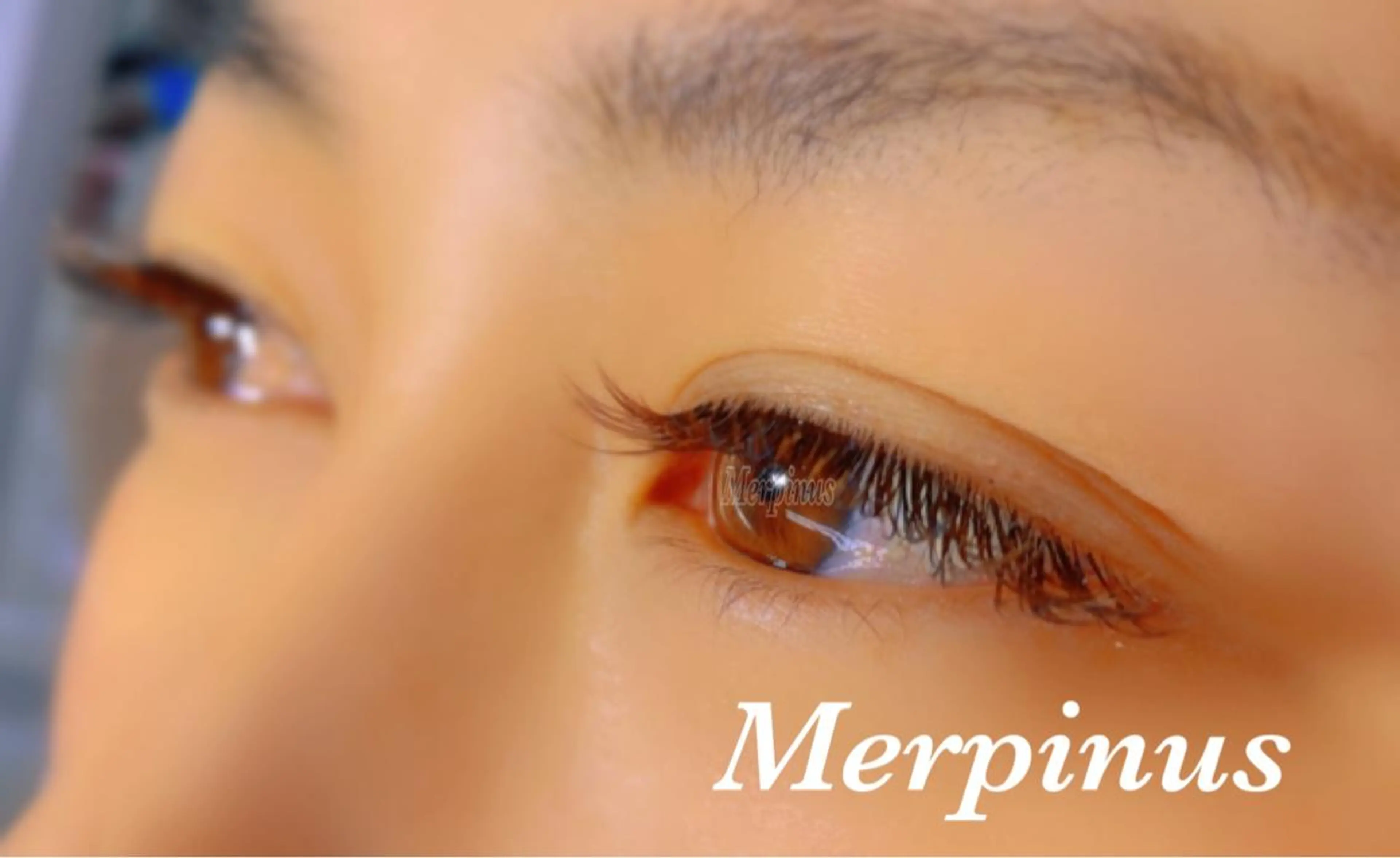 マツエク・マツパ ブラウンラッシュ カラーマツエク Eyelash salon kukuna所属・まつ毛サロン Kukunaのマツエク・マツパデザイン