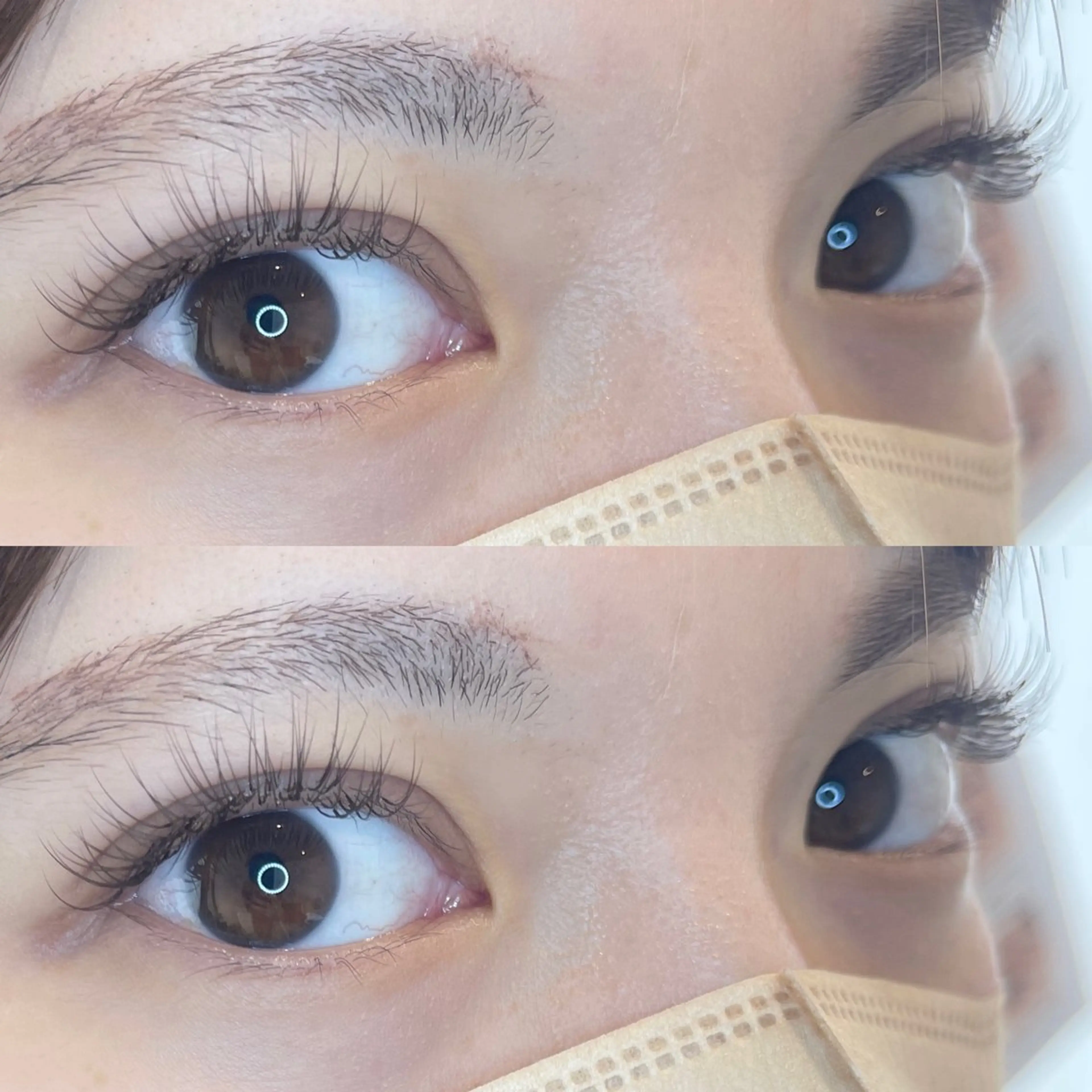 マツエク・マツパ 韓国風マツエク まつげパーマ warme𓂂𓂃 fukaのヘアスタイル