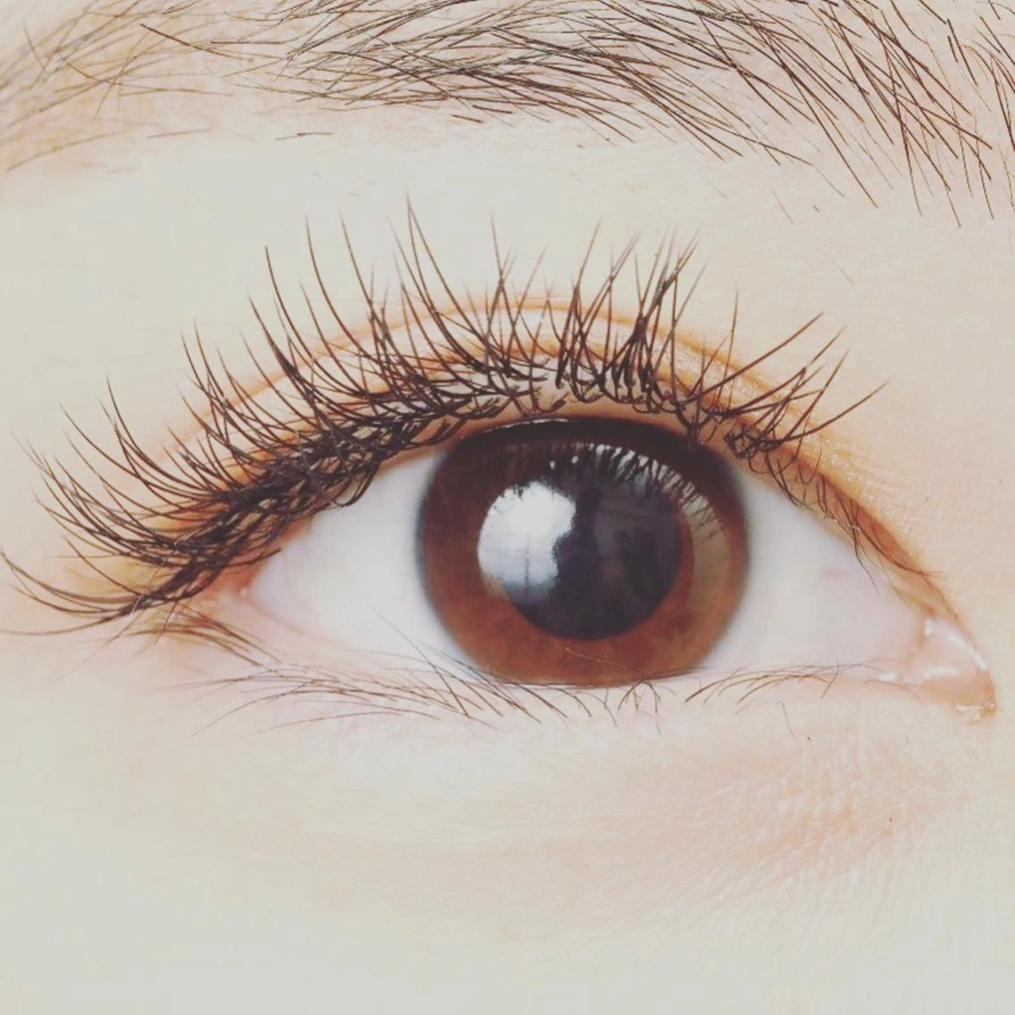 マツエク・マツパ プライベートサロン TESeRA所属・IMAI MEGUMIの眉毛・アイブロウイメージ