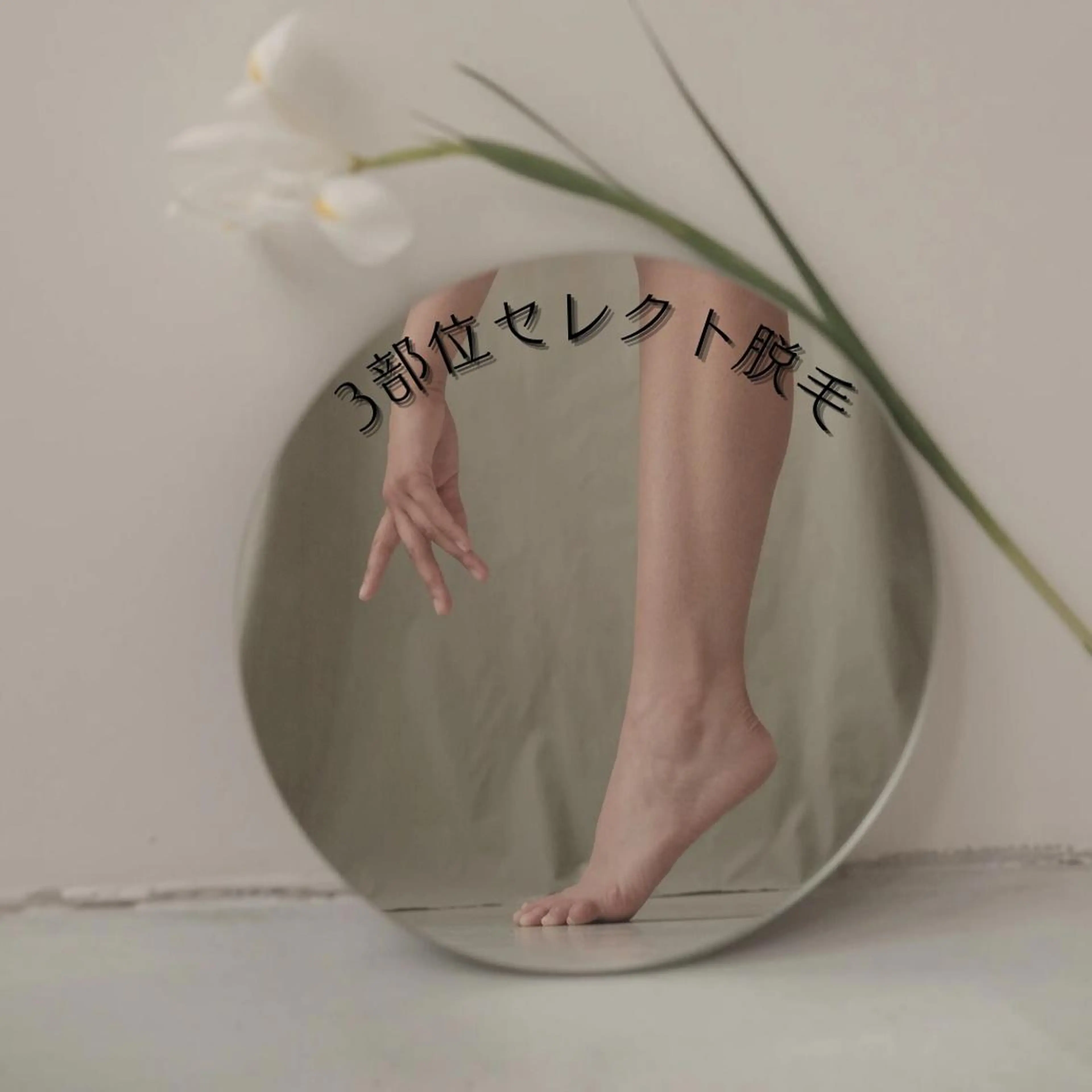 3部位セレクト脱毛/レディースの写真