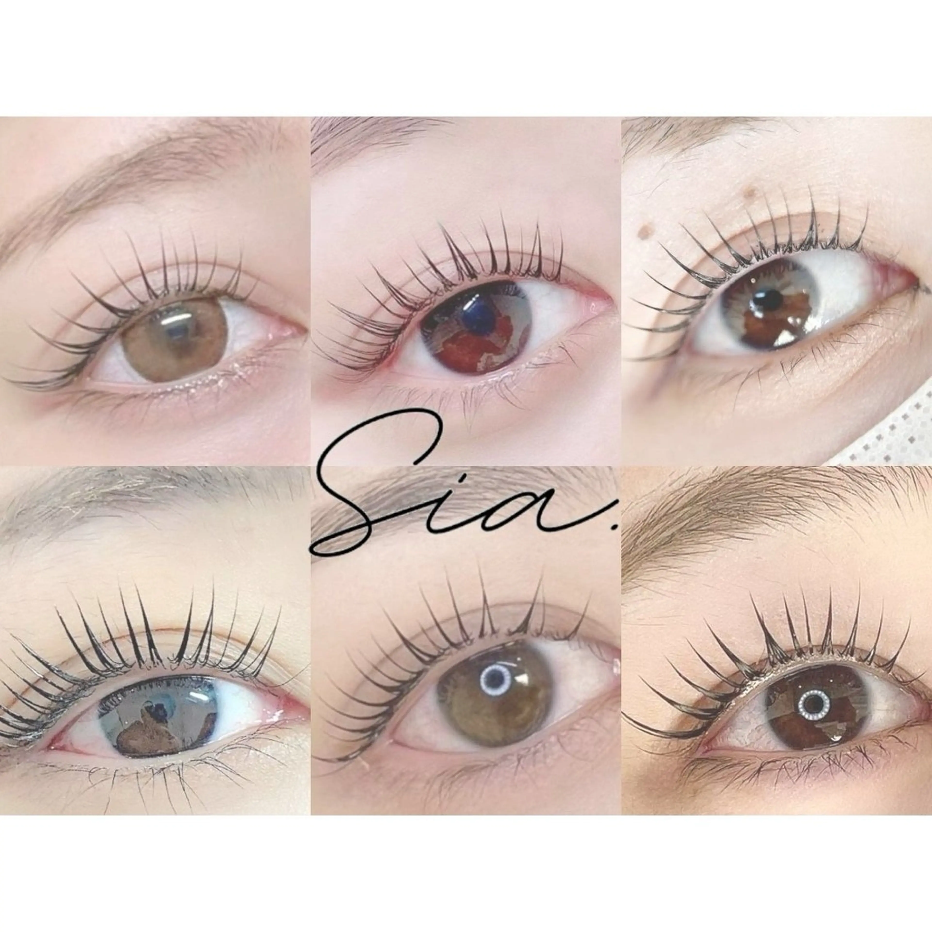 〈予約不可🪽〉眉ワックスモデルの写真