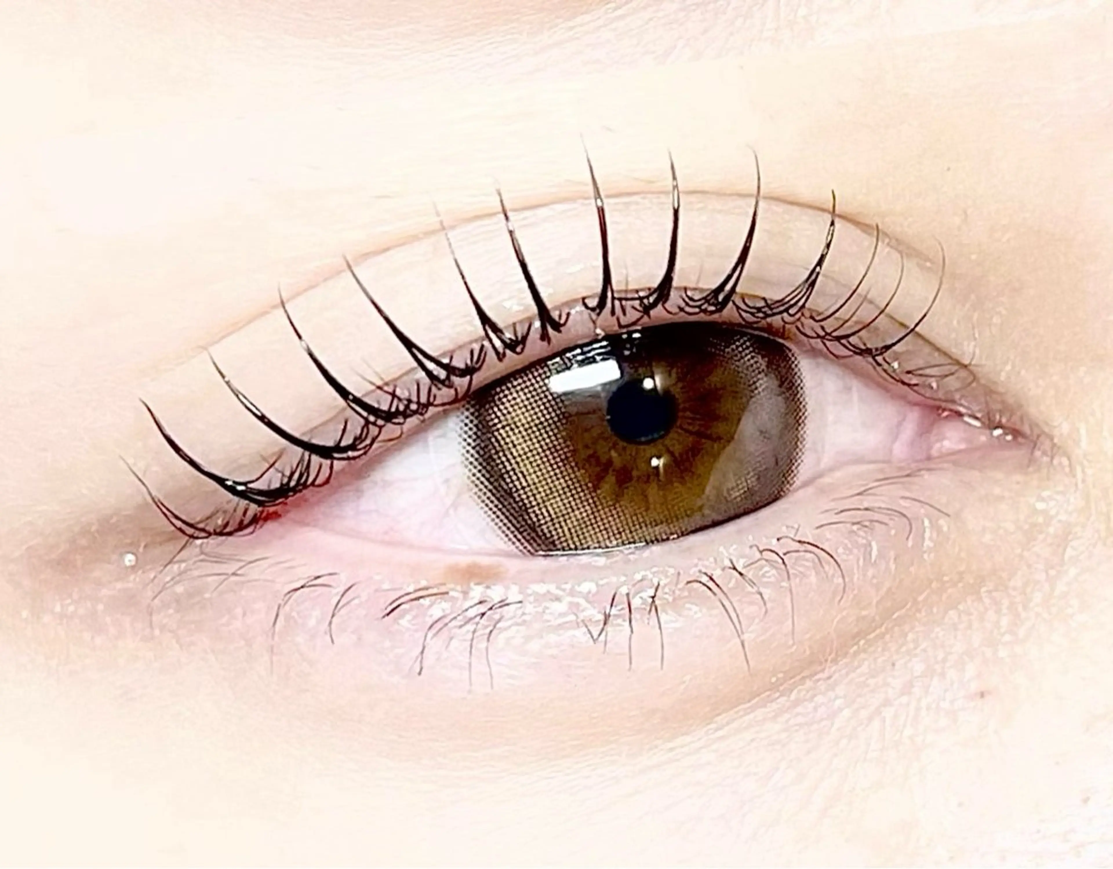 マツエク・マツパ 🍒眉毛/まつ毛 Sanaの眉毛・アイブロウイメージ