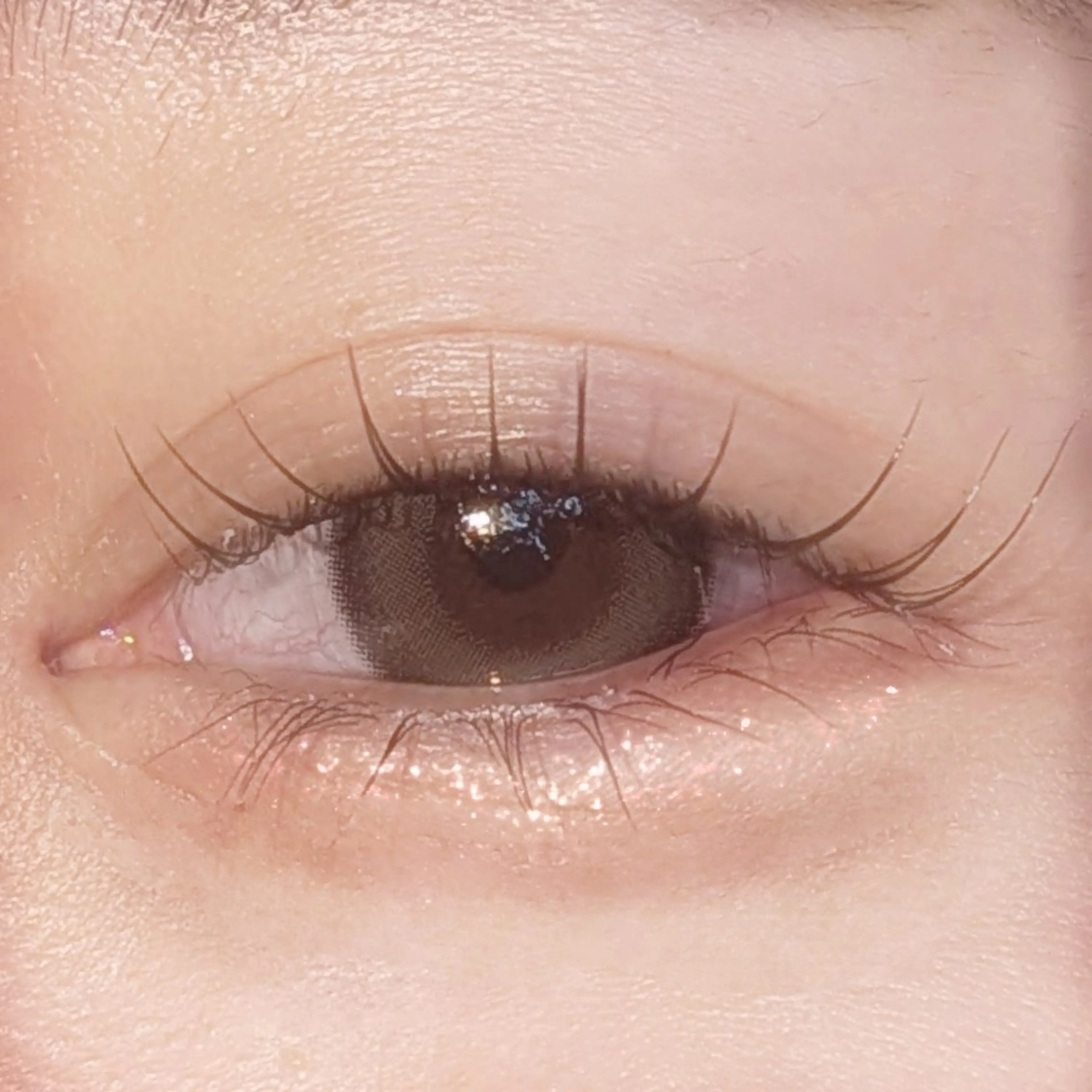 マツエク・マツパ リュープリエ所属・🎀心斎橋束感まつ毛 &美眉MOENO🎀のマツエク・マツパデザイン