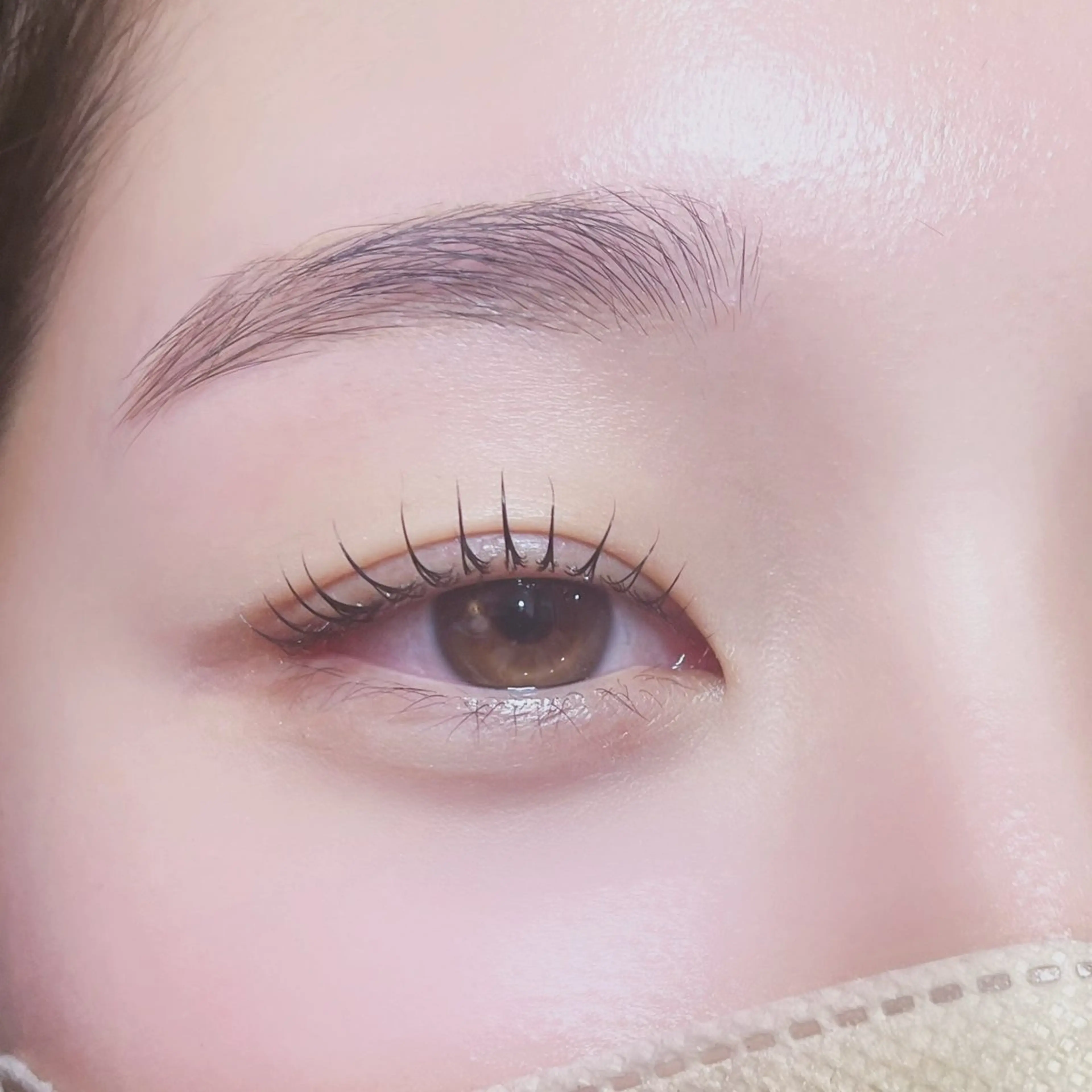 【セットメニュー】ラッシュリフト×眉毛ワックス￥7500の写真