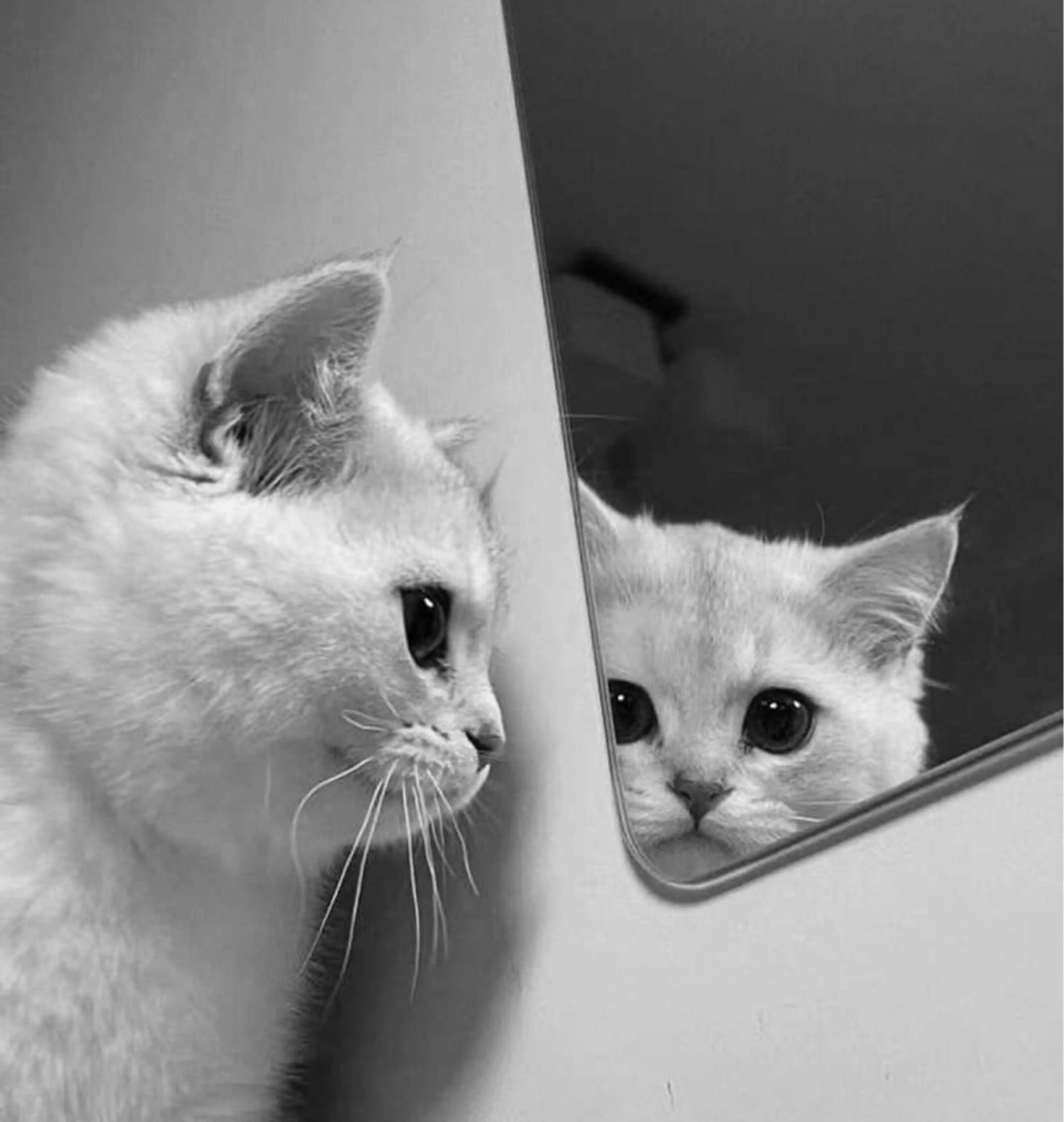 【バインドロック80束】しっかり濃さ、ボリューム出したい人にオススメ🌺✨の写真