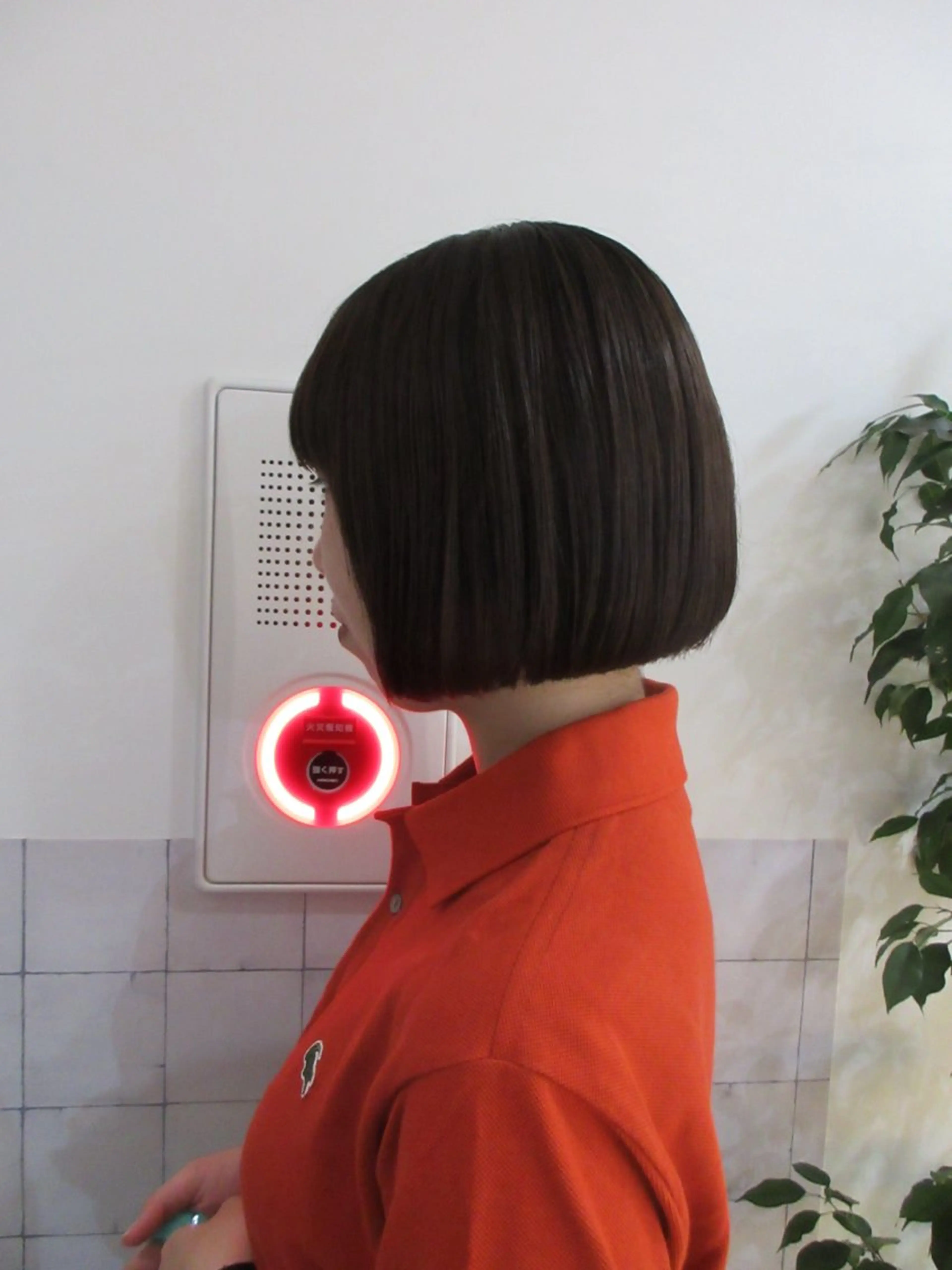 ショート ボブ/ハイトーン🪽 堀内志茉🍀のヘアスタイル