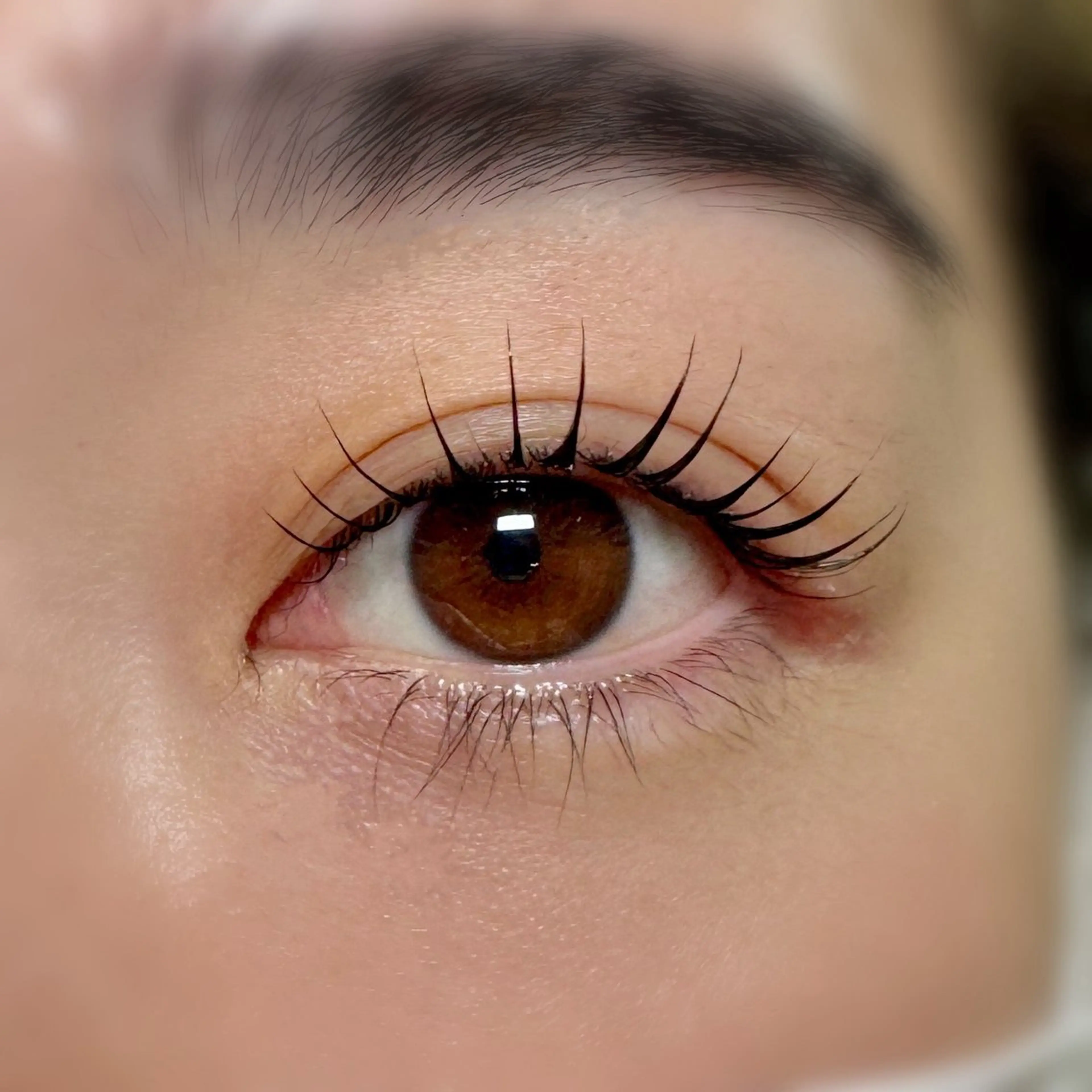 【minimo特別価格】★束感仕上げ(上下)まつ毛パーマ★ケラチン塗布+コーティング付き🫧の写真