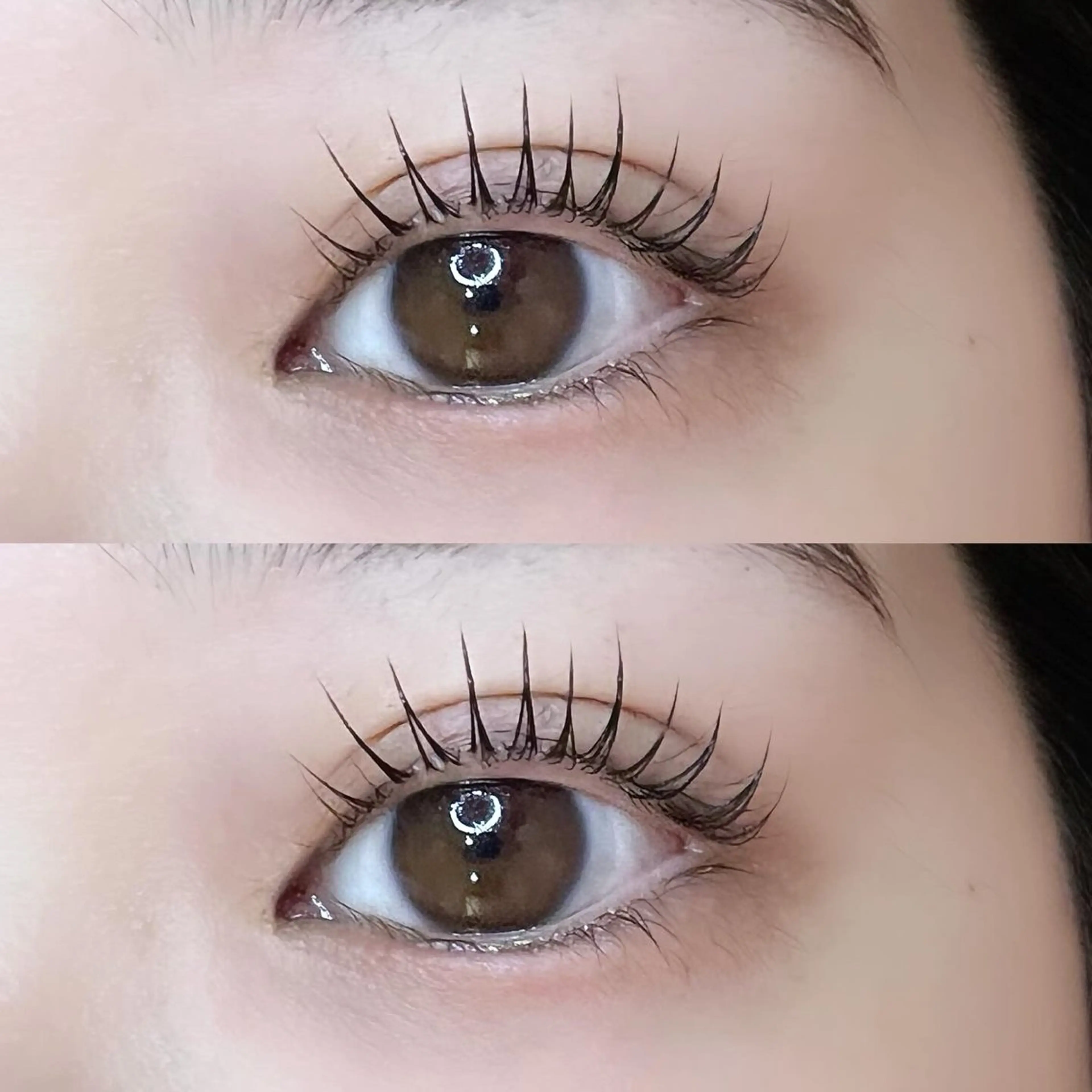 【最先端】🤍次世代まつ毛パーマ🤍　アッパーリフトカール導入の写真