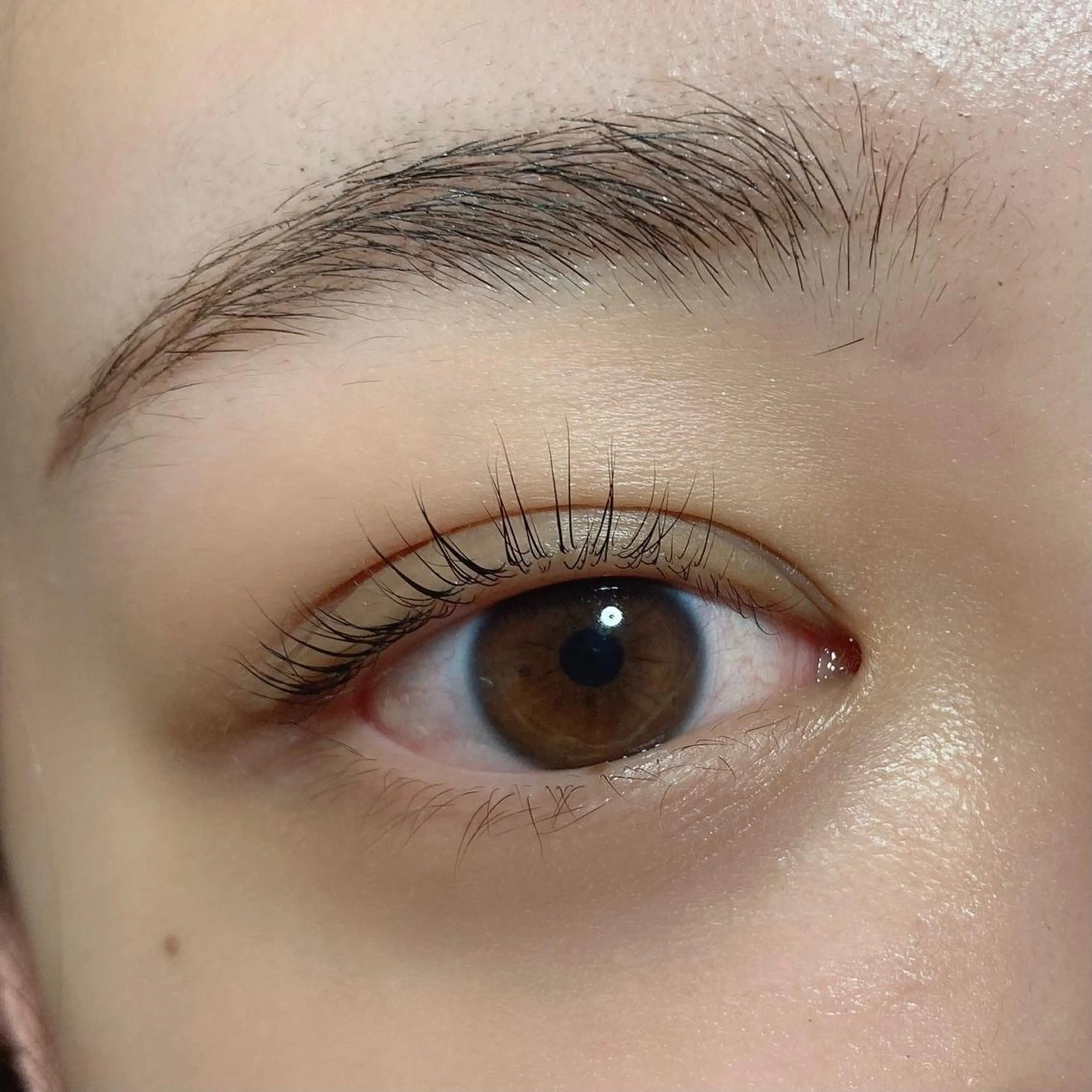 マツエク・マツパ orihara𐙚 まつげパーマ/眉毛のマツエク・マツパデザイン