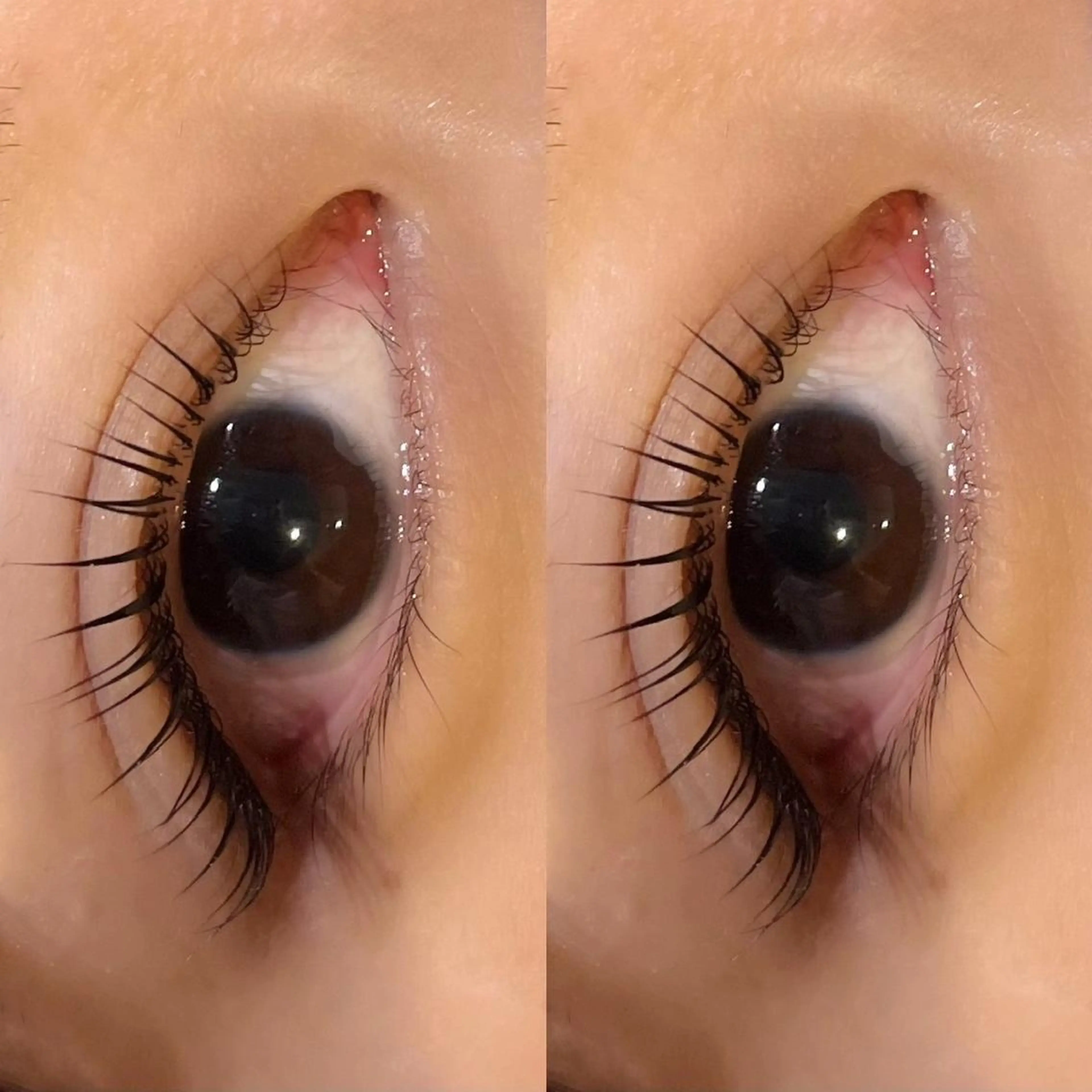 マツエク・マツパ Sylph 西宮店のマツエク・マツパデザイン