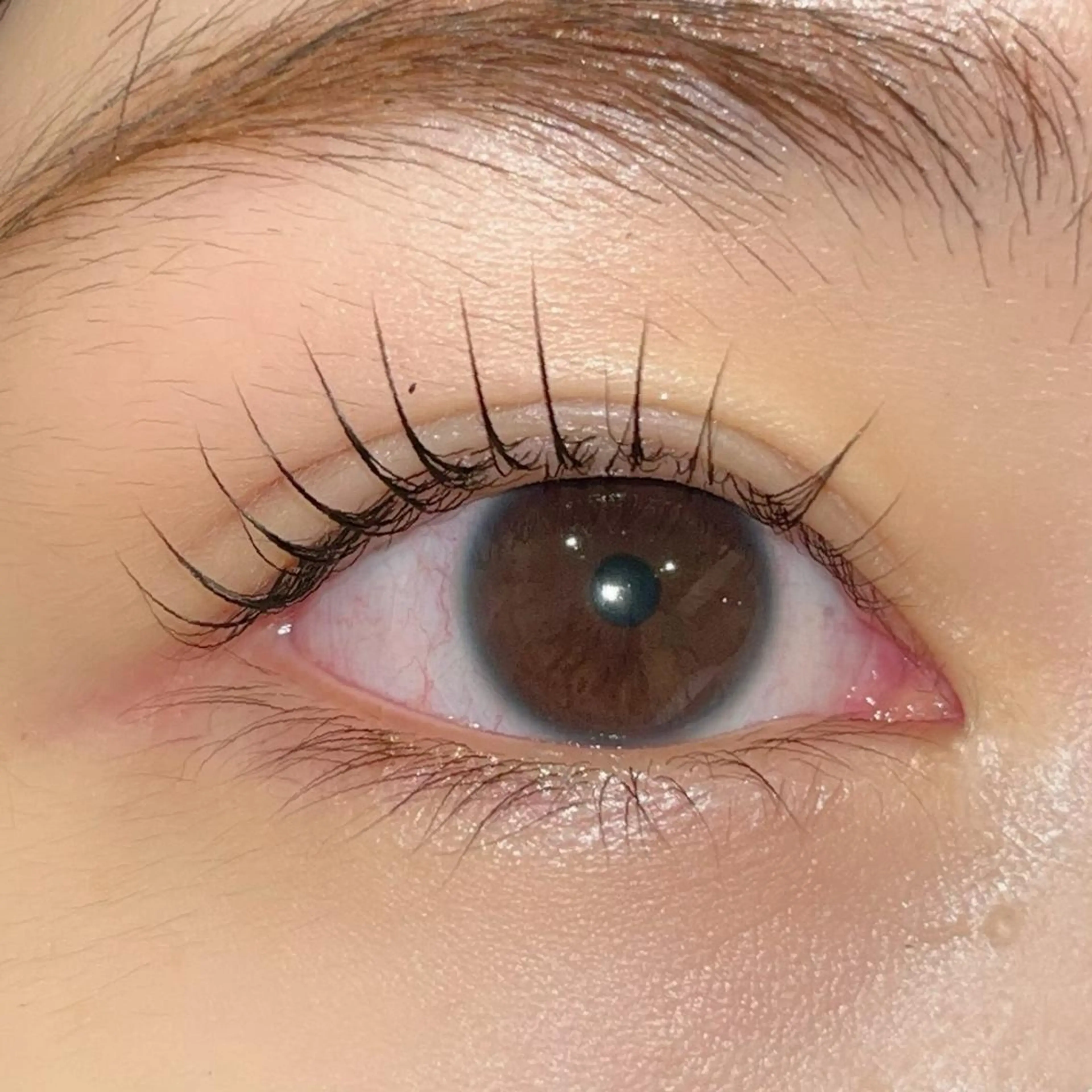 マツエク・マツパ パリジェンヌラッシュリフト まつげパーマ ai一重専門🎀束感 まつげ🫧表参道のマツエク・マツパデザイン