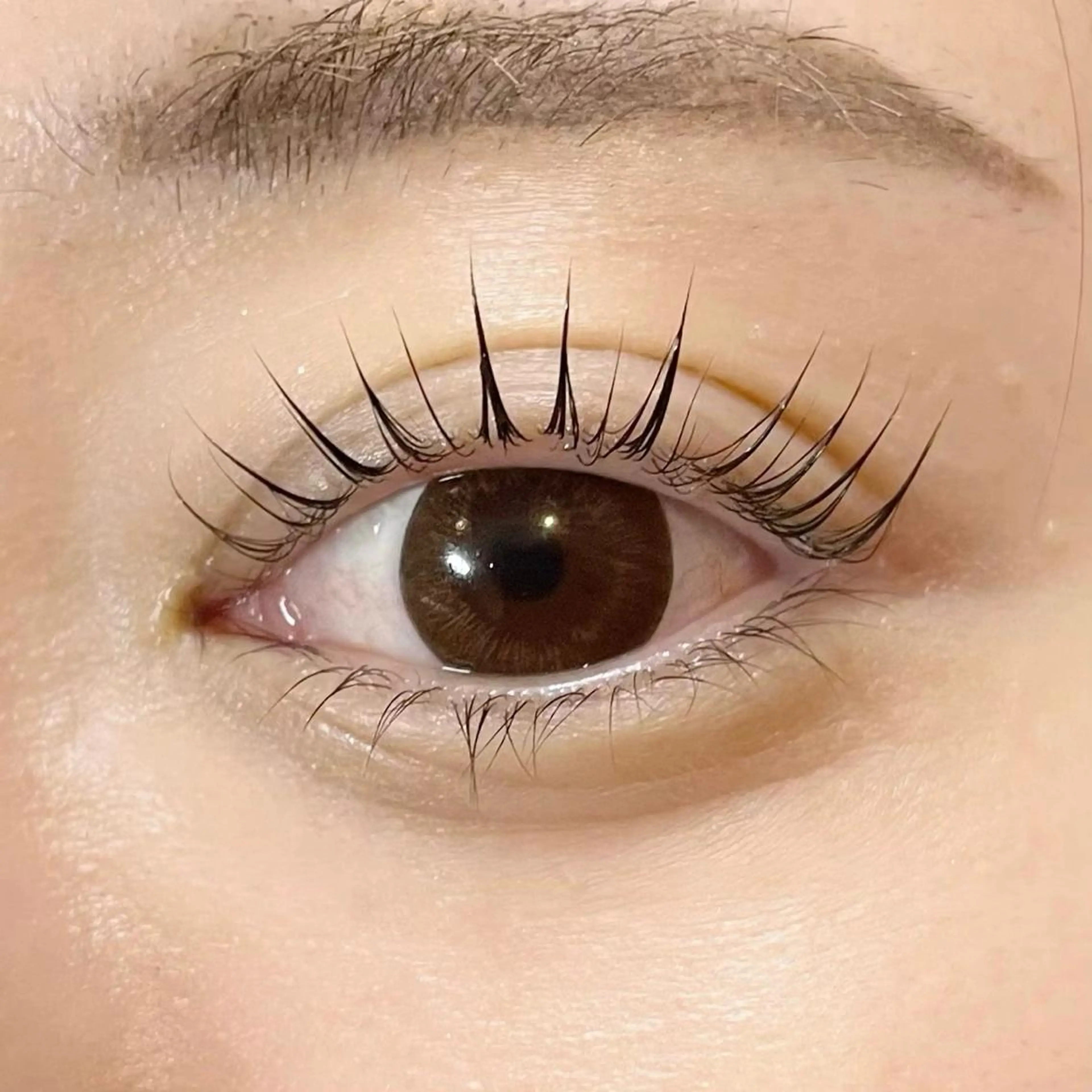 マツエク・マツパ パリジェンヌラッシュリフト マツパ Mai / esbymaisonのマツエク・マツパデザイン