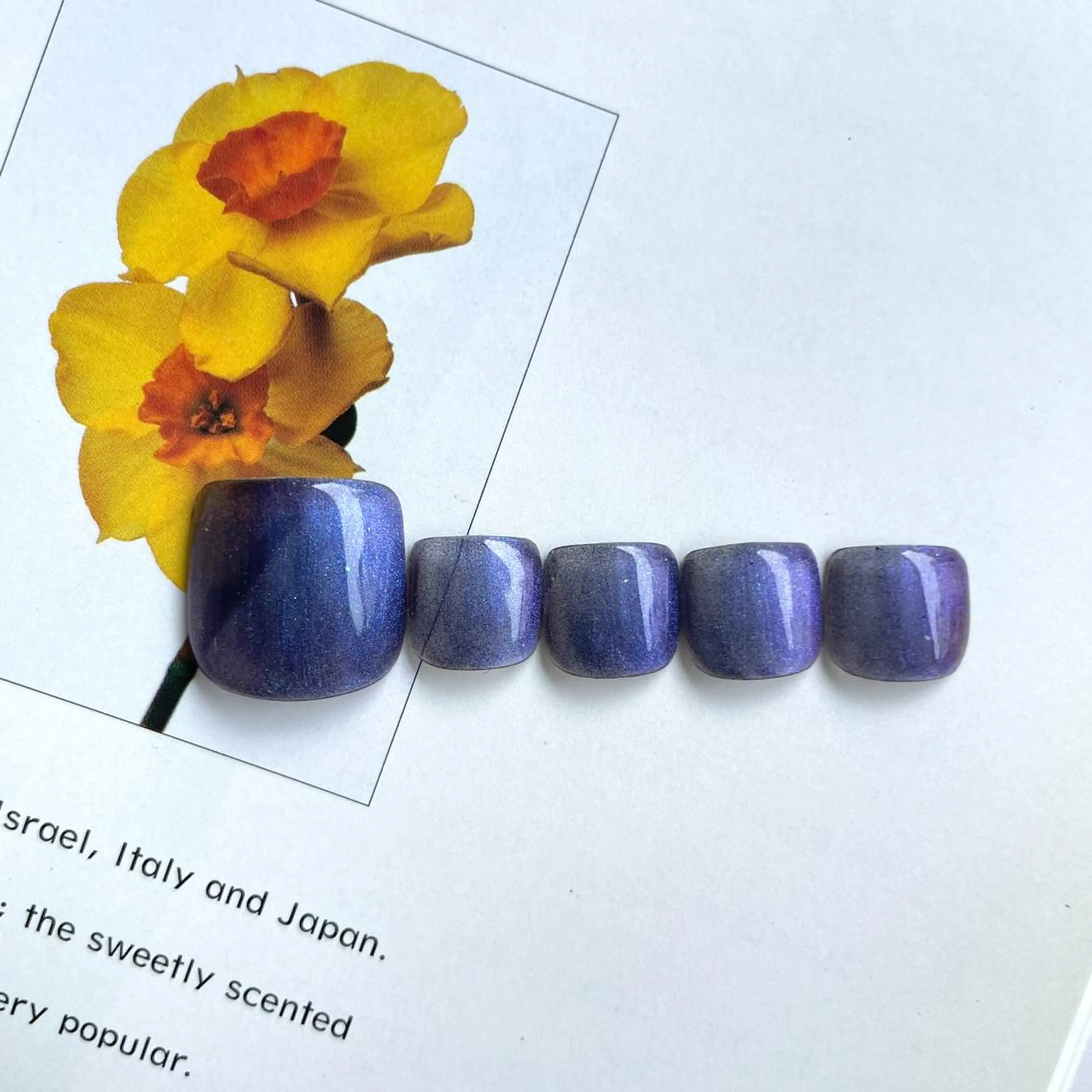 foot mirror/magnet(オフなし)🪞フットはキラキラに🌞パラジェル使用の写真