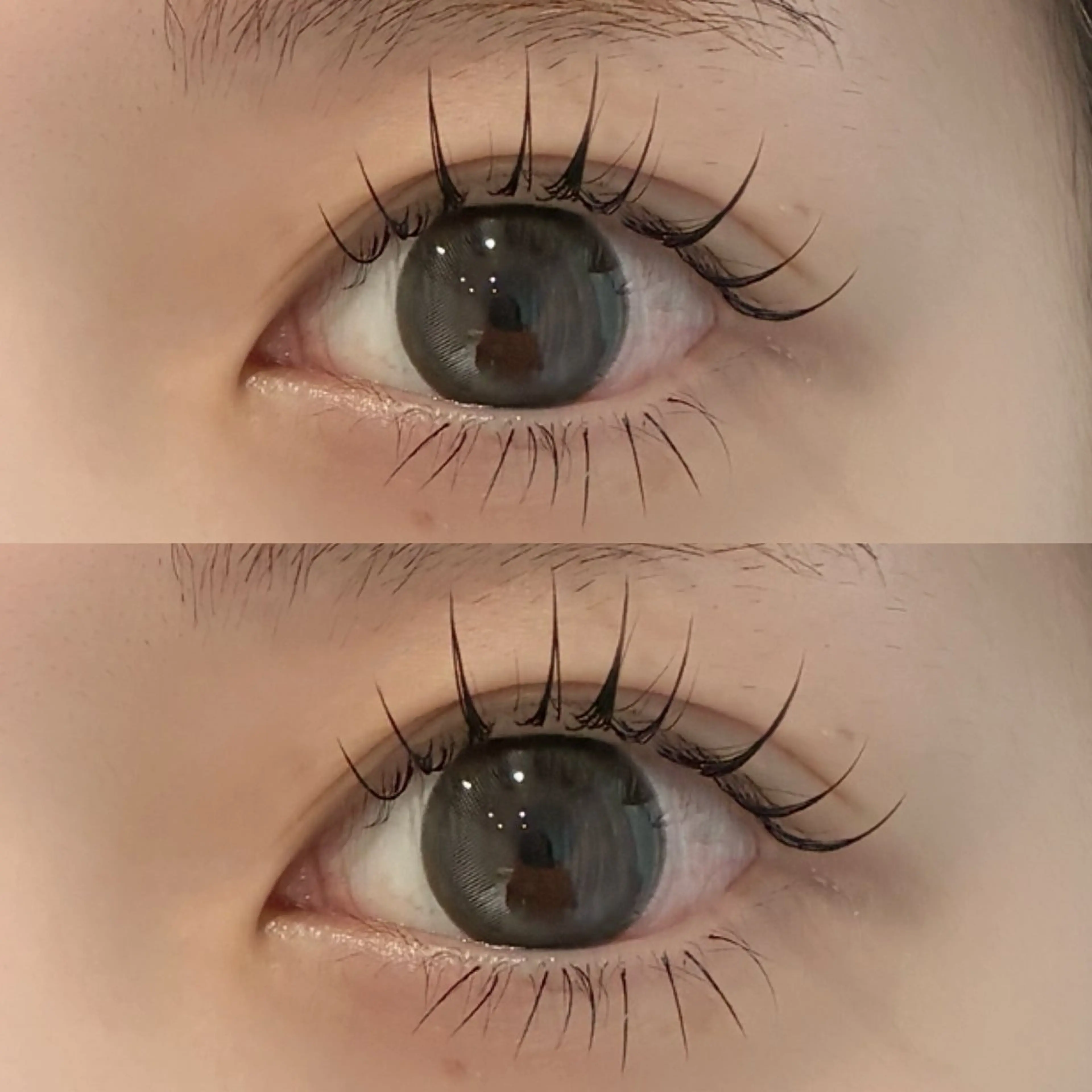 【12月限定】アンドヘルシー120本他店オフ込み｡✧｡･ﾟの写真