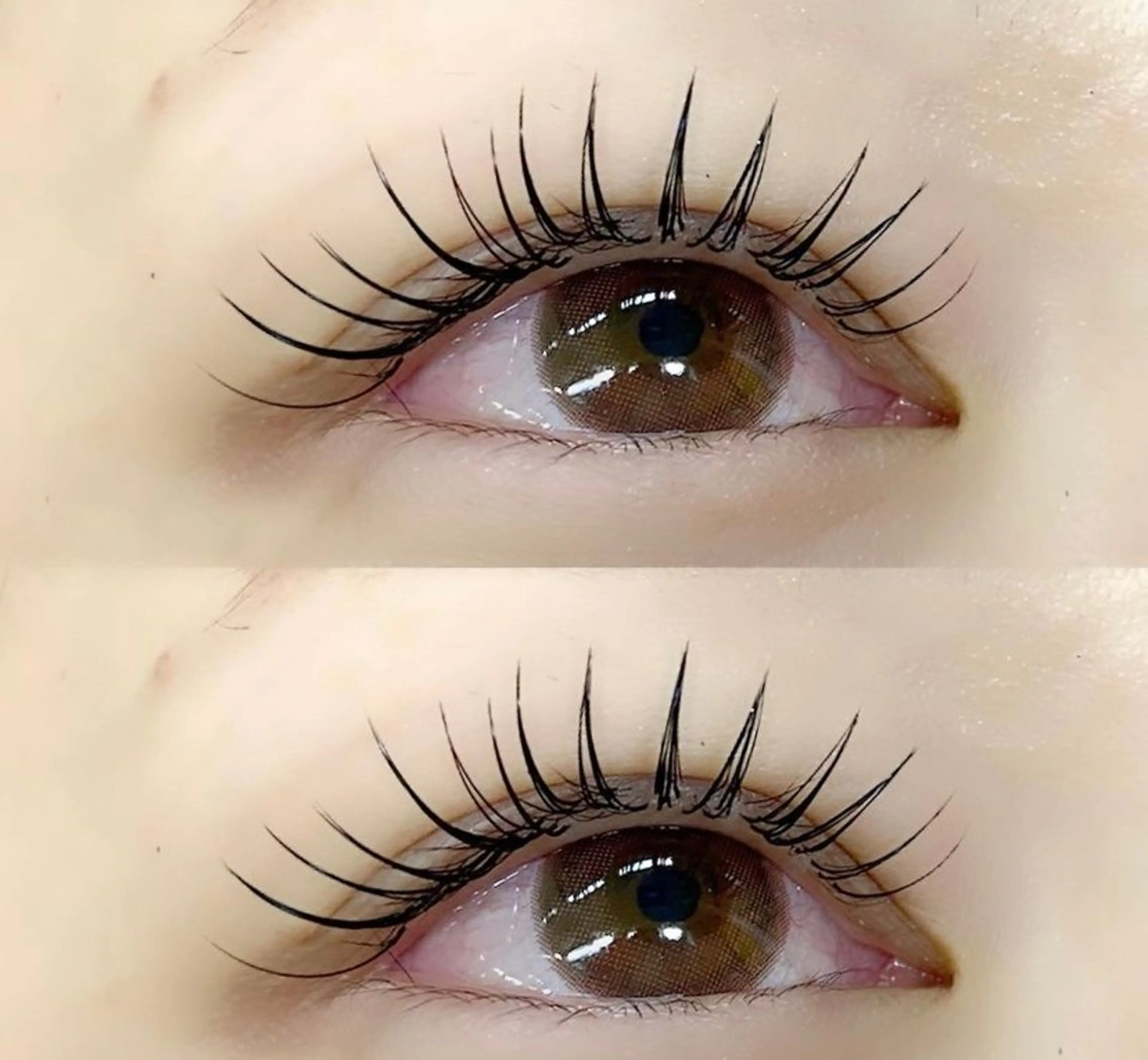 【新規】✨最新技術持続性抜群バインドロック100束400本　（両目)　オフ込みの写真