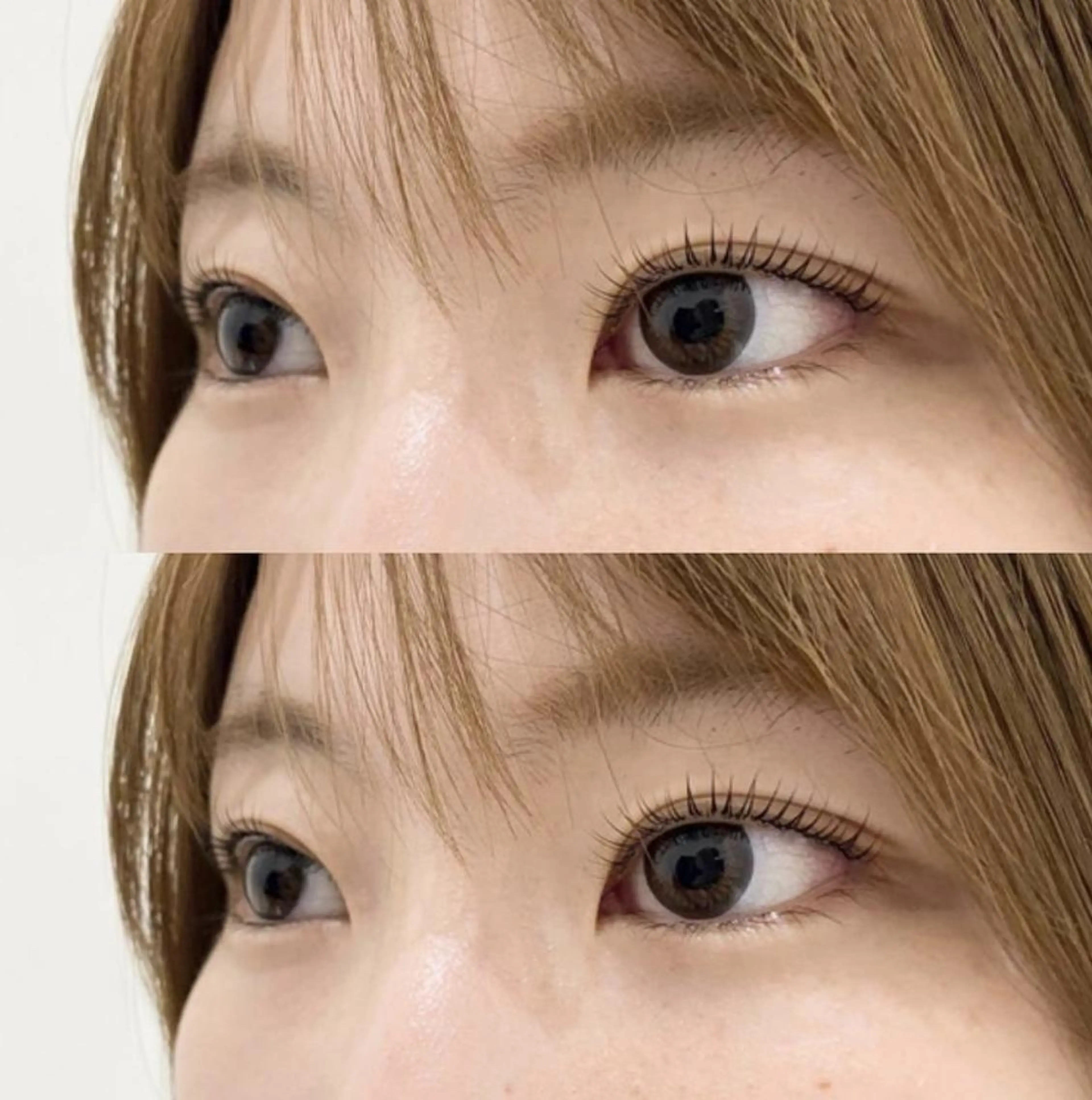 マツエク・マツパ マツパ Bunny eyes NEWOTANI博多のマツエク・マツパデザイン