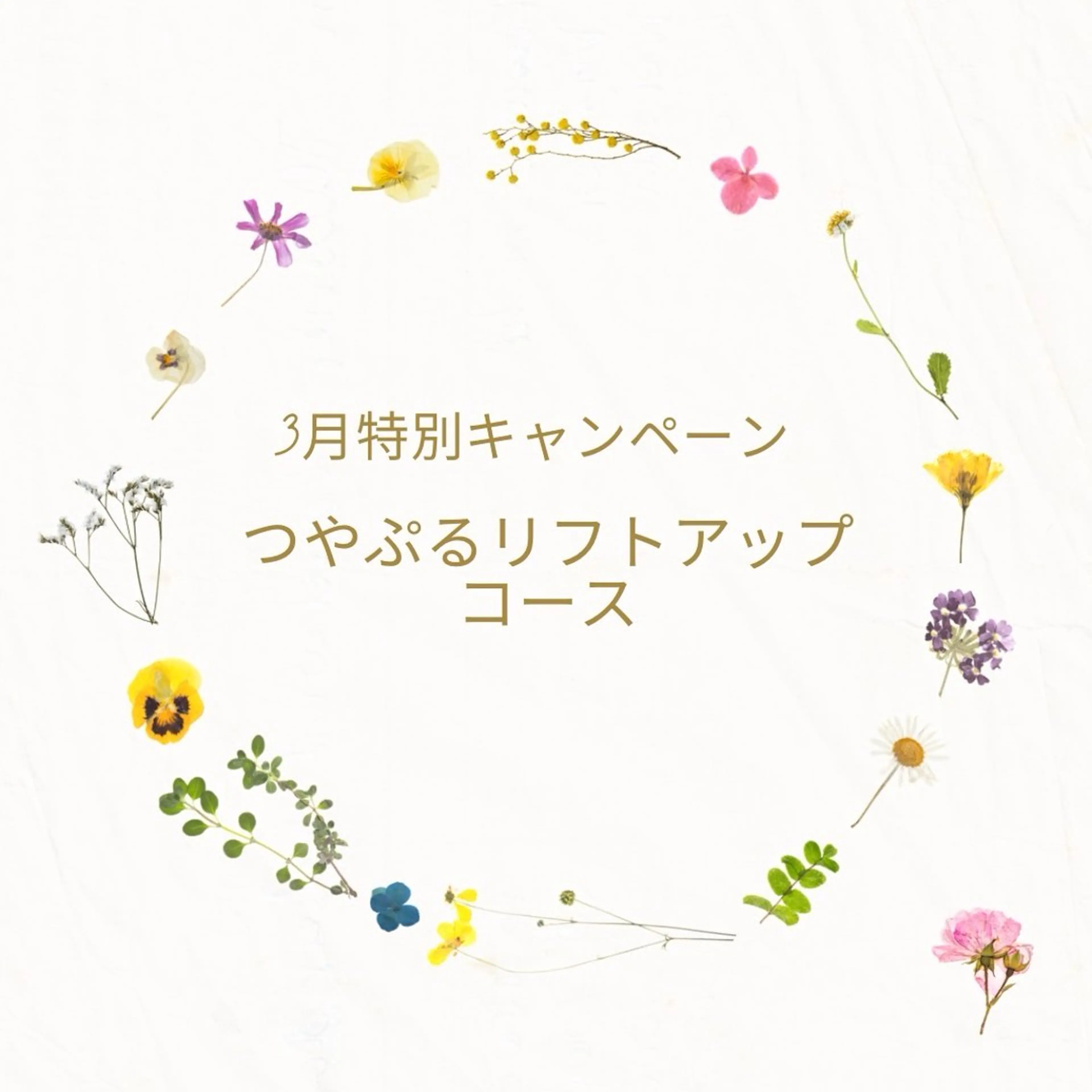 田嶋 雅美のエステ・リラクイメージ