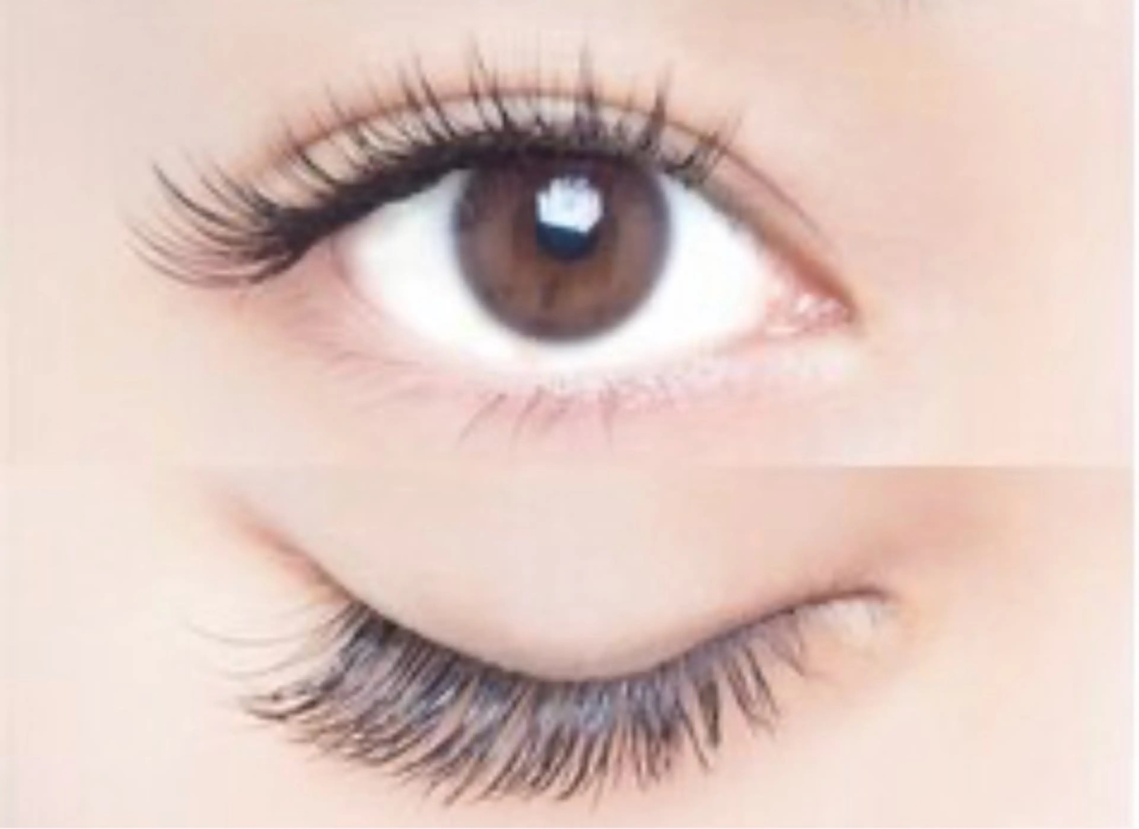 マツエク・マツパ alice tokyo鈴木★のマツエク・マツパデザイン