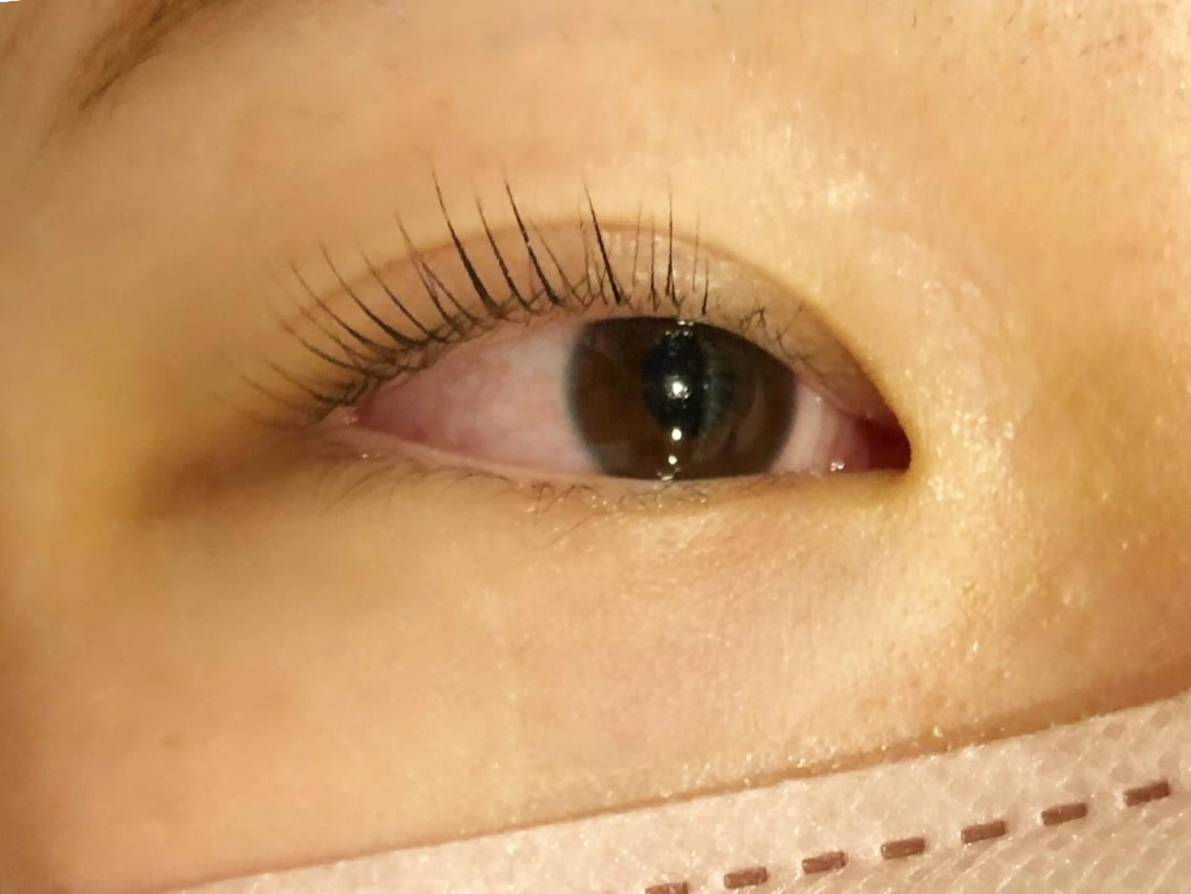 マツエク・マツパ マツパ 【Refine】 磯部のマツエク・マツパデザイン