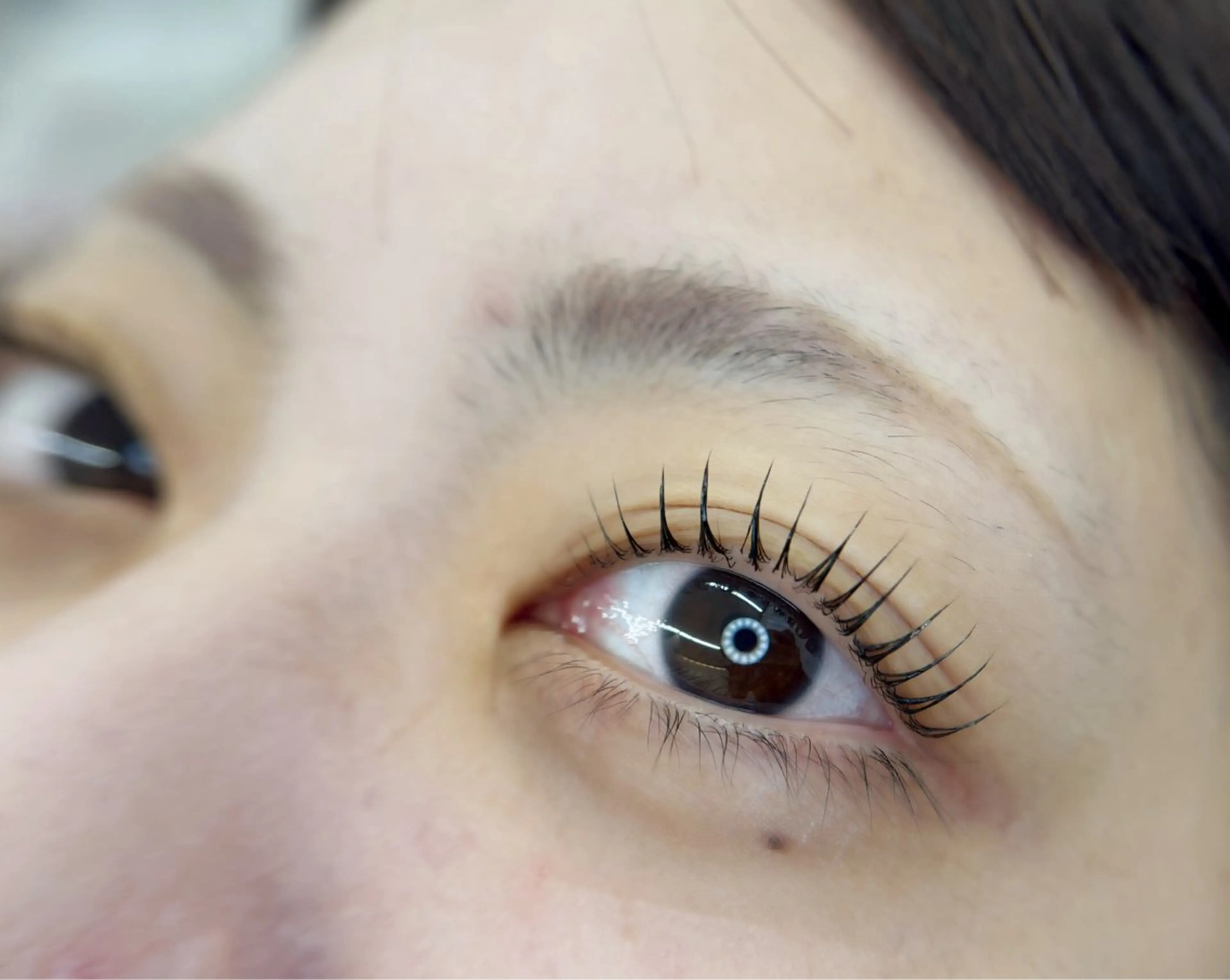 🩶パリジェンヌラッシュリフト➕美容液コーティングの写真