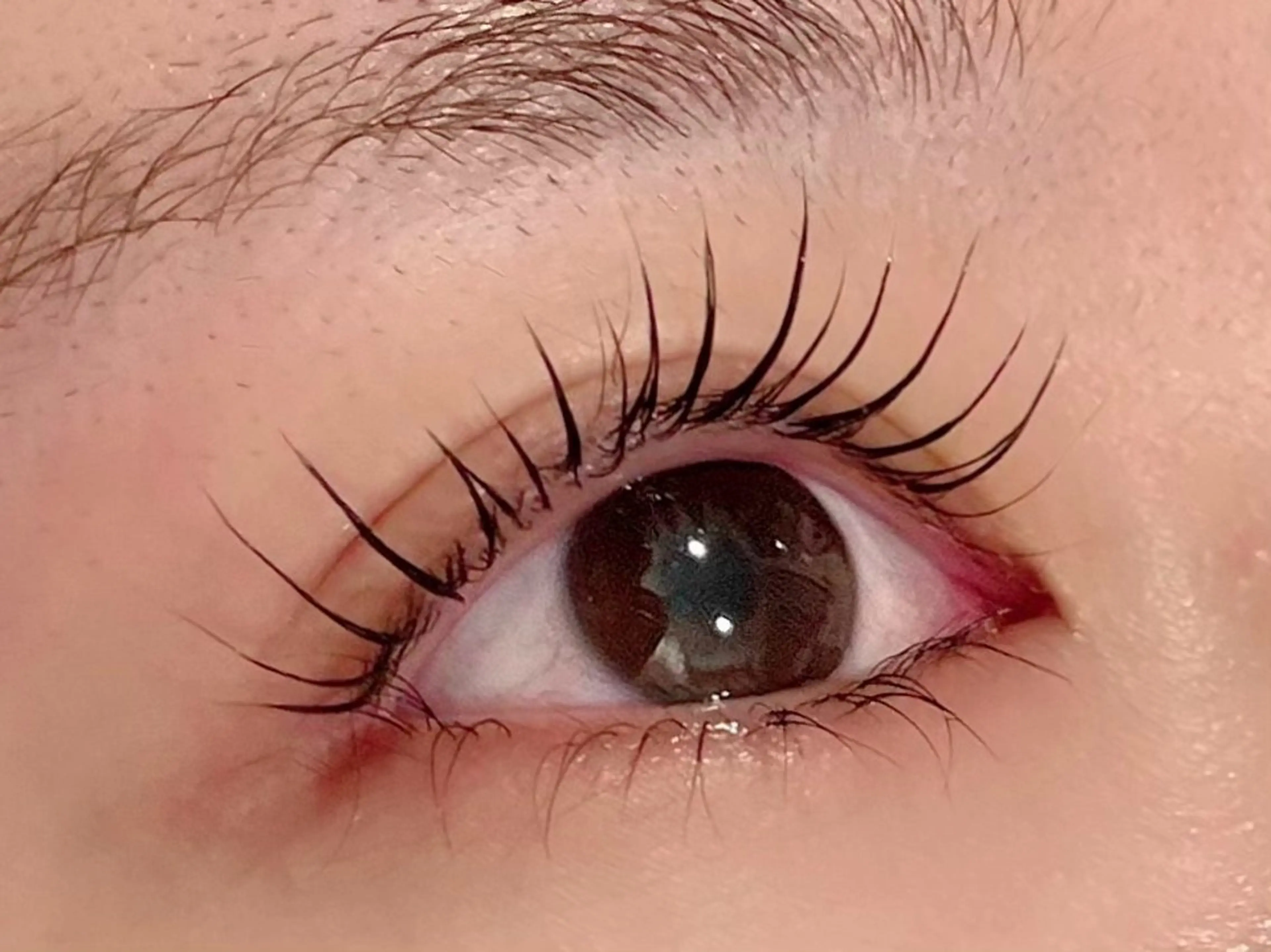 マツエク・マツパ マツパ Carina所属・🦋Carina荻窪 kazumi🦋のマツエク・マツパデザイン