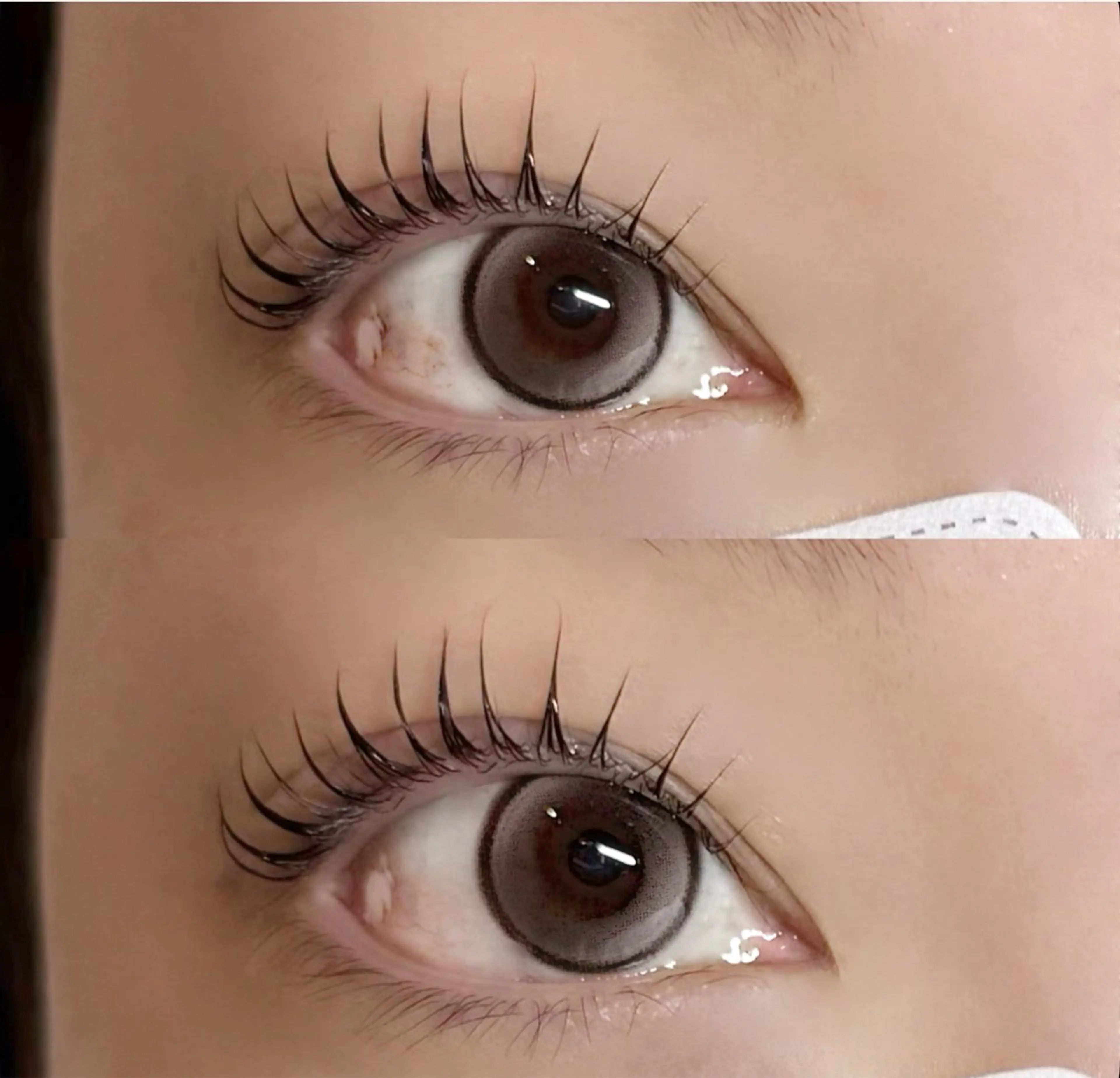 【平日限定】🫧パリジェンヌラッシュリフト🫧の写真