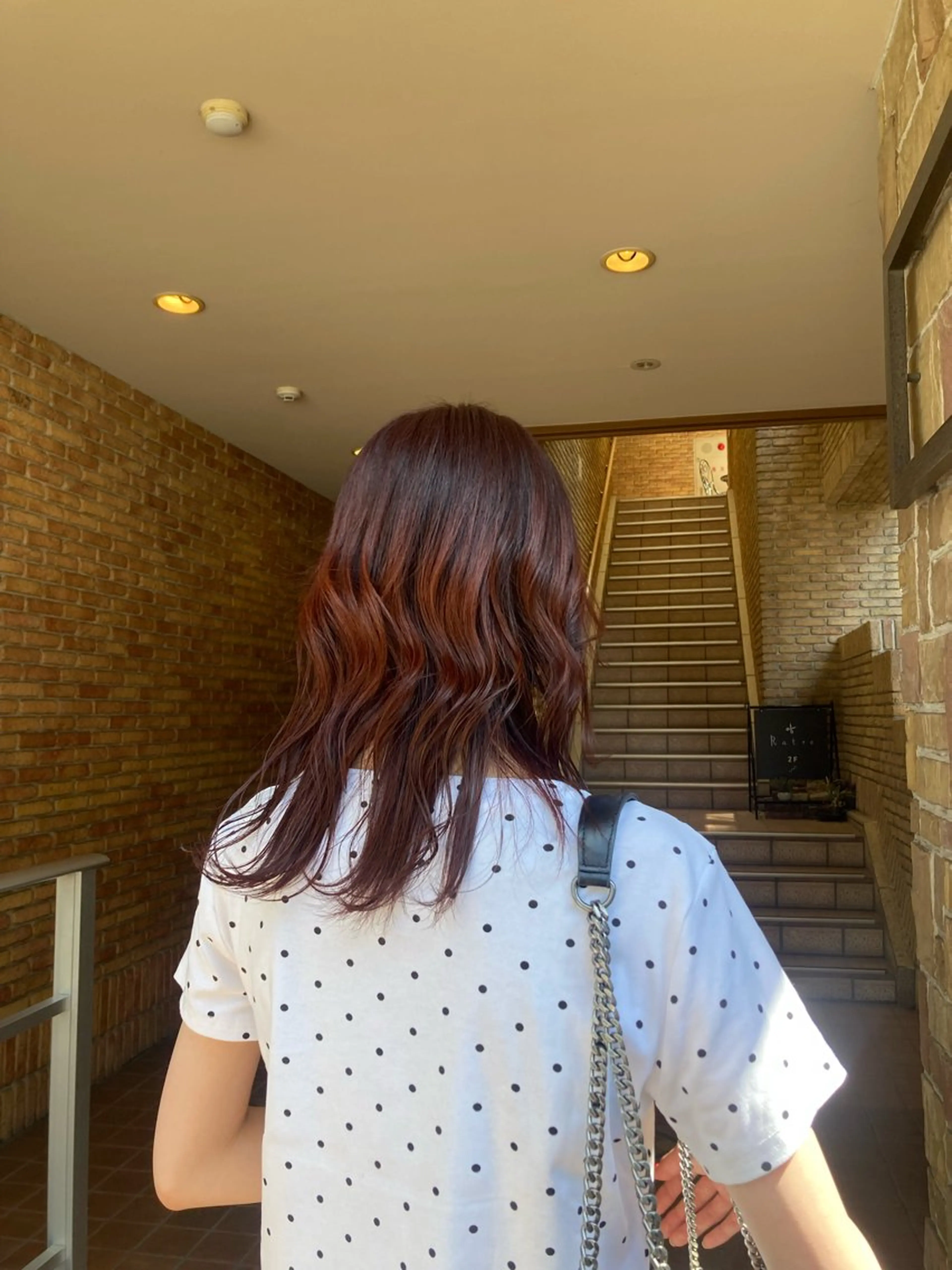 カラー カシス レッドカラー 加茂野 緑のヘアスタイル