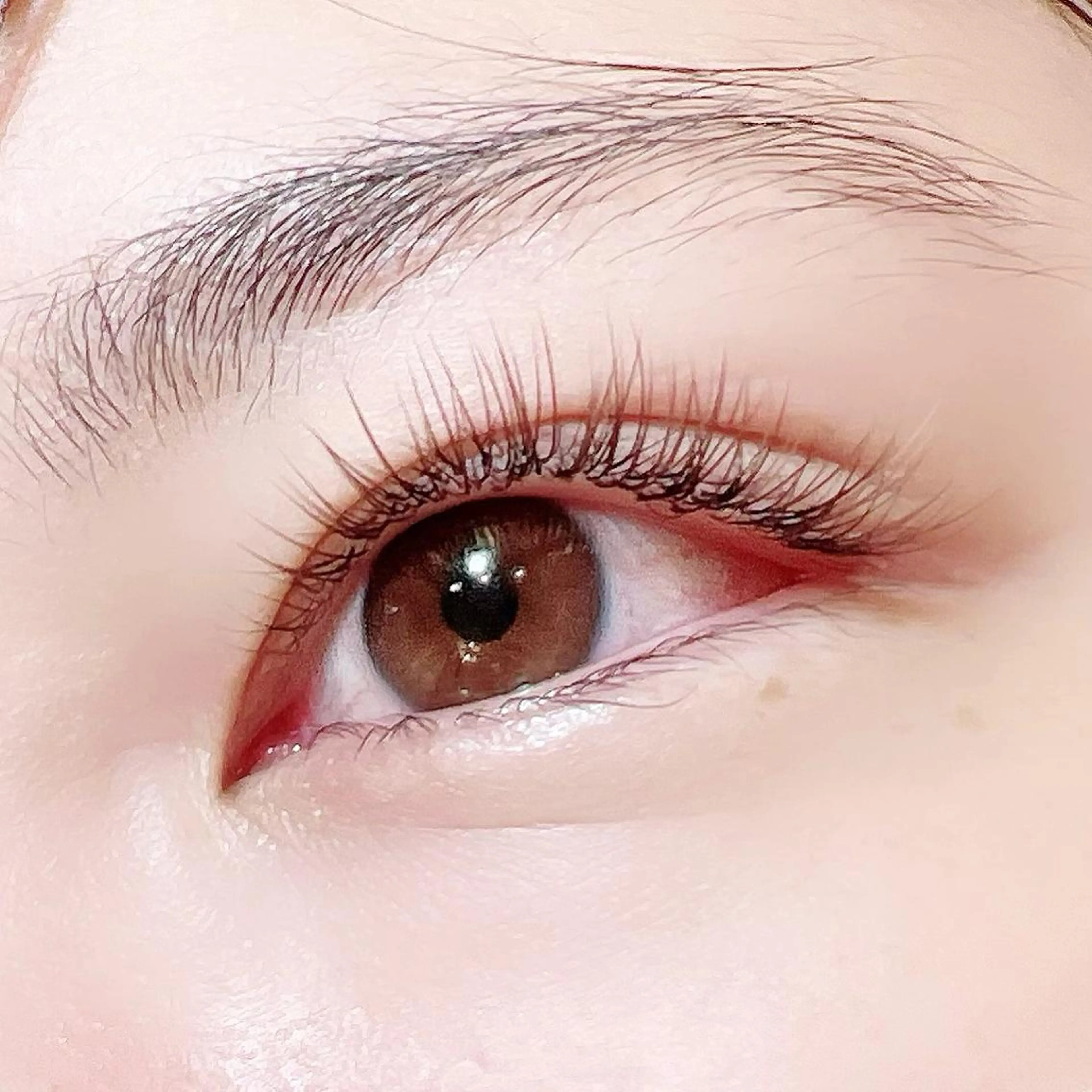 マツエク・マツパ アイブロウ 眉カラー Flor上大岡 ＊フルノ リナ＊のマツエク・マツパデザイン