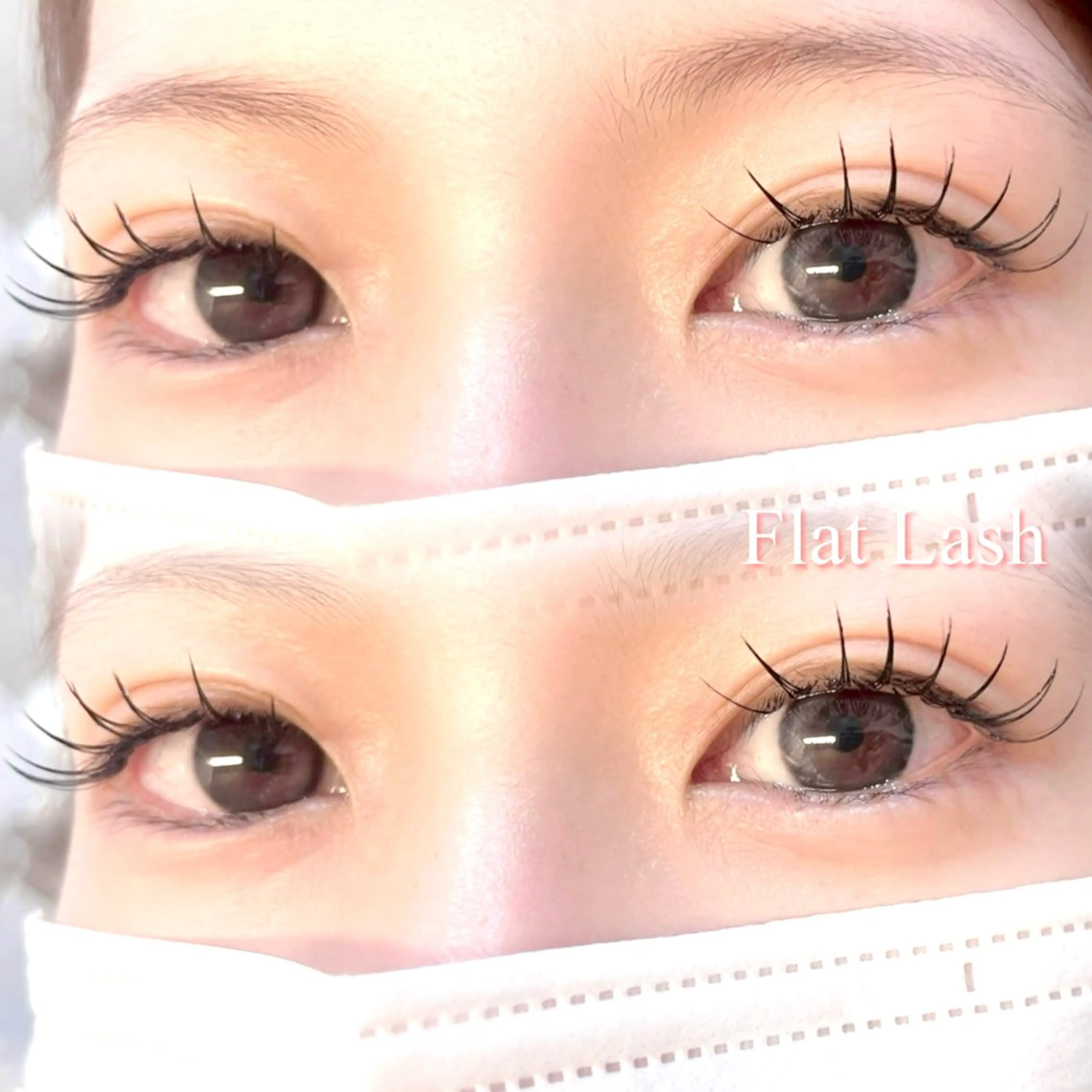 《アイシャンプー付き🫧》🦋フラットラッシュ120本🦋の写真