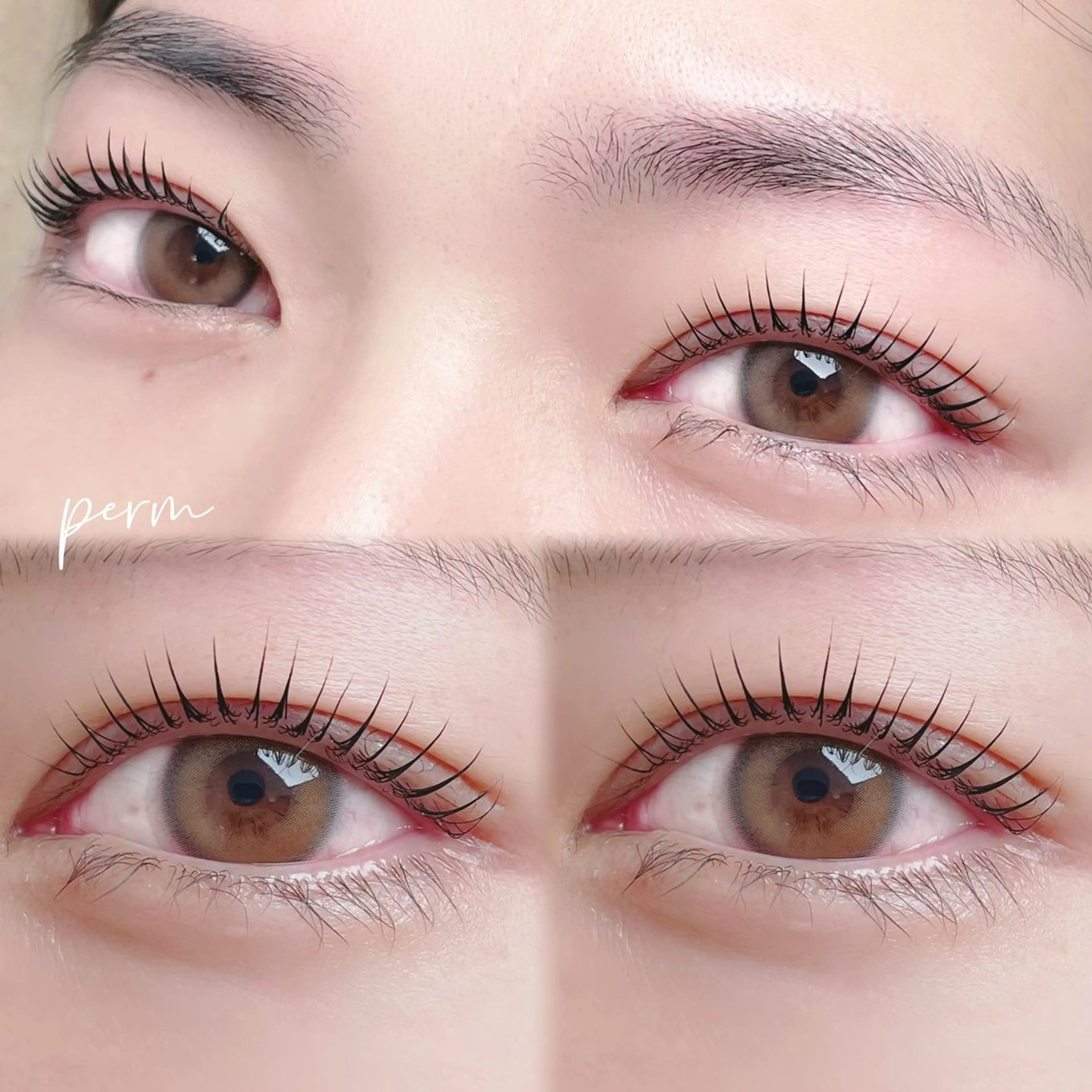 マツエク・マツパ muse momoのマツエク・マツパデザイン