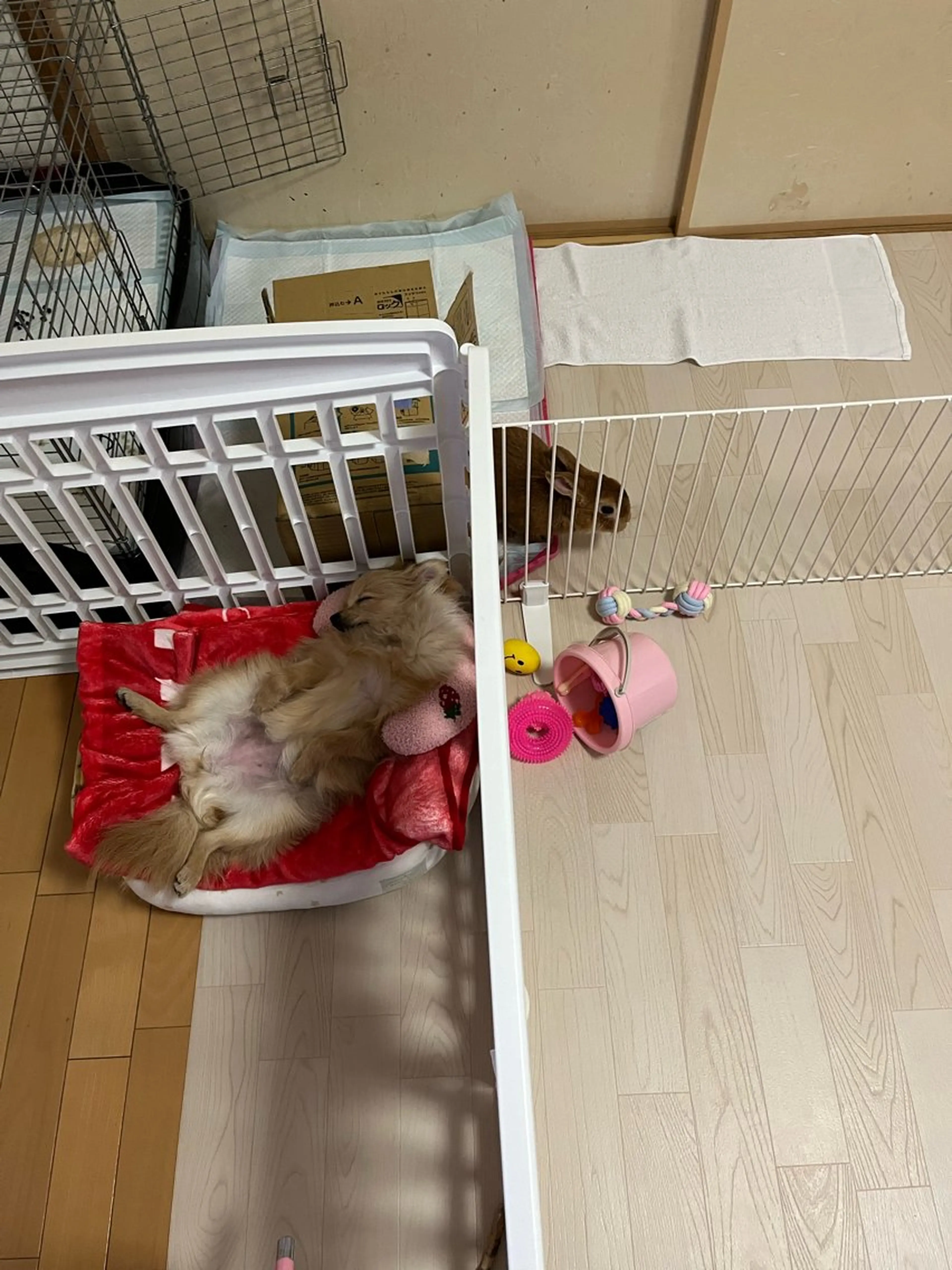 Sona hair & eyelash salon所属・紙屋 隼人のヘアスタイル