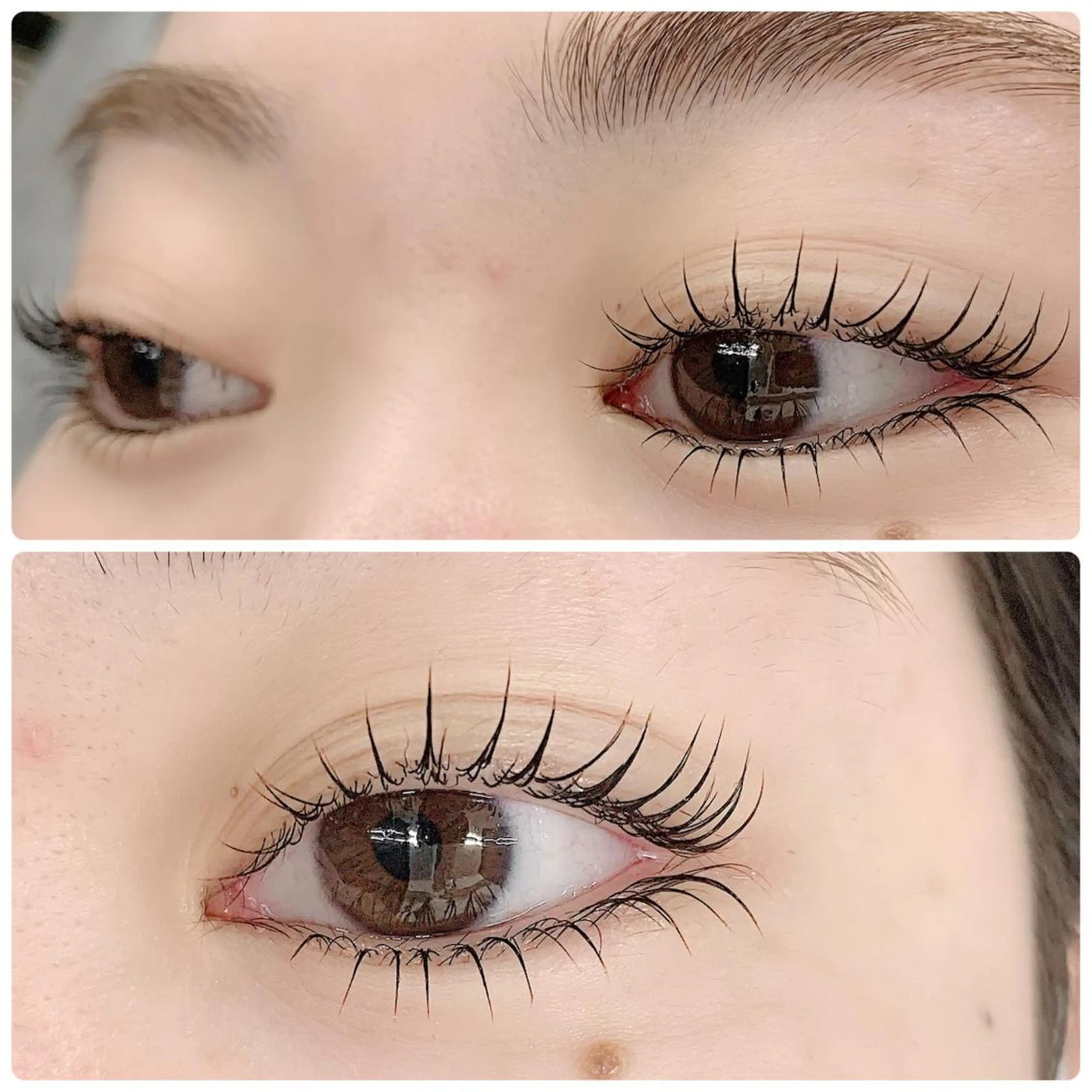 マツエク・マツパ マツパ teatree.. REINAのマツエク・マツパデザイン