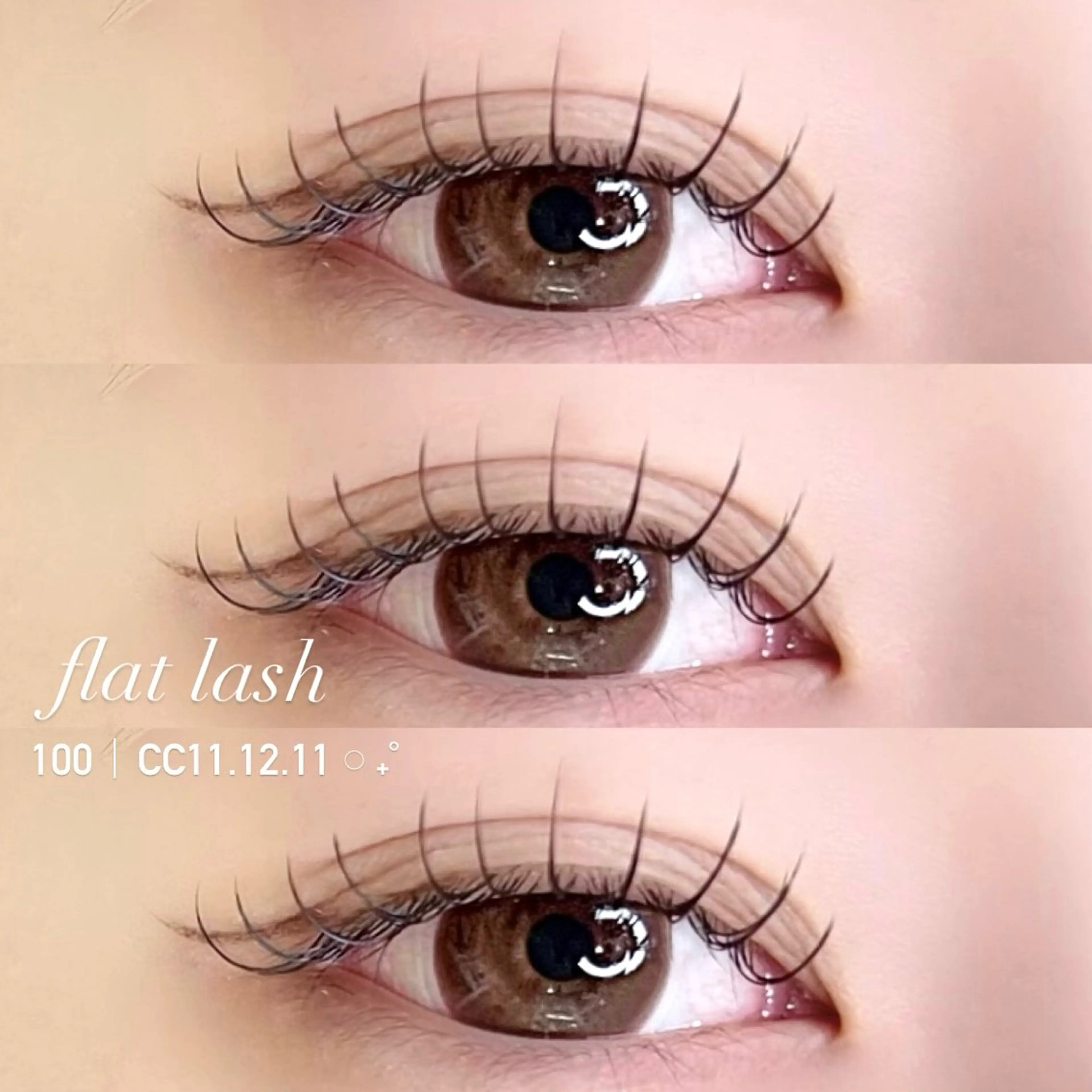 【オフ無料】フラットマットラッシュ100本+束感コーティング仕上げׅ ⊹の写真