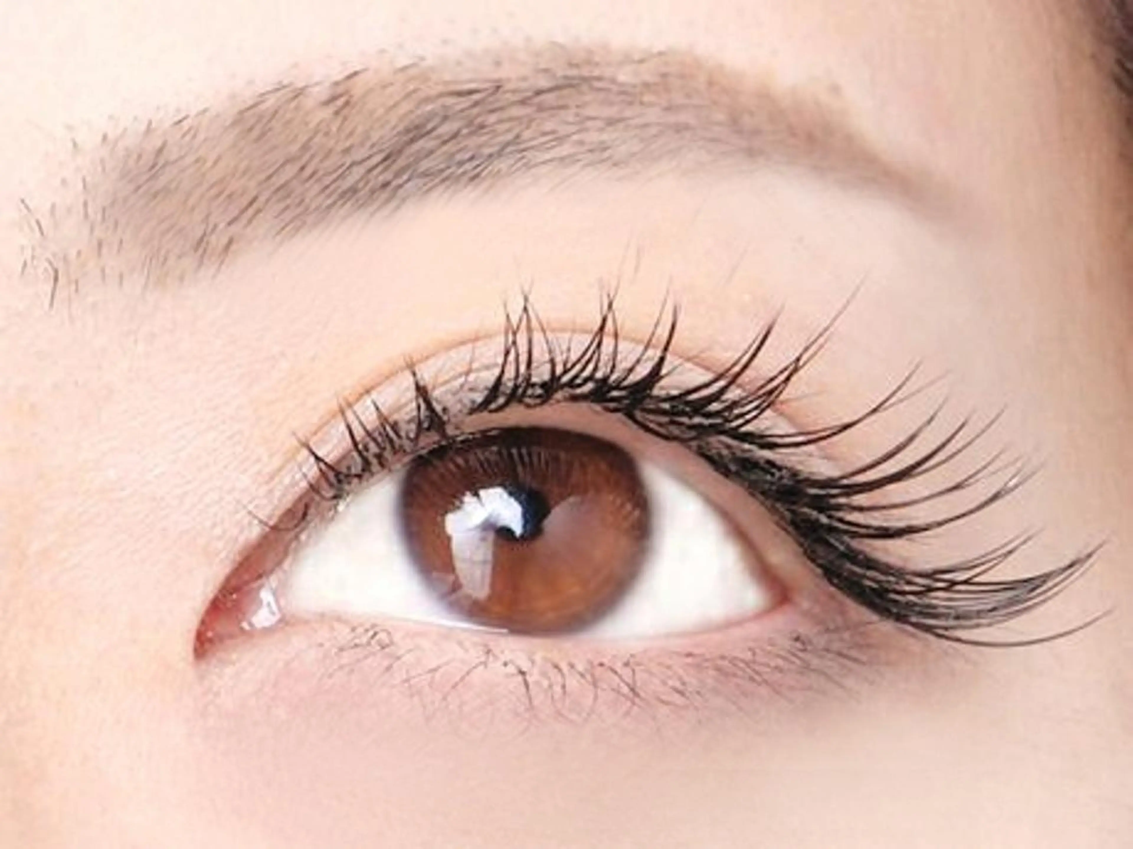 【全員】💐フラットラッシュ120本💐¥7200→¥6680の写真