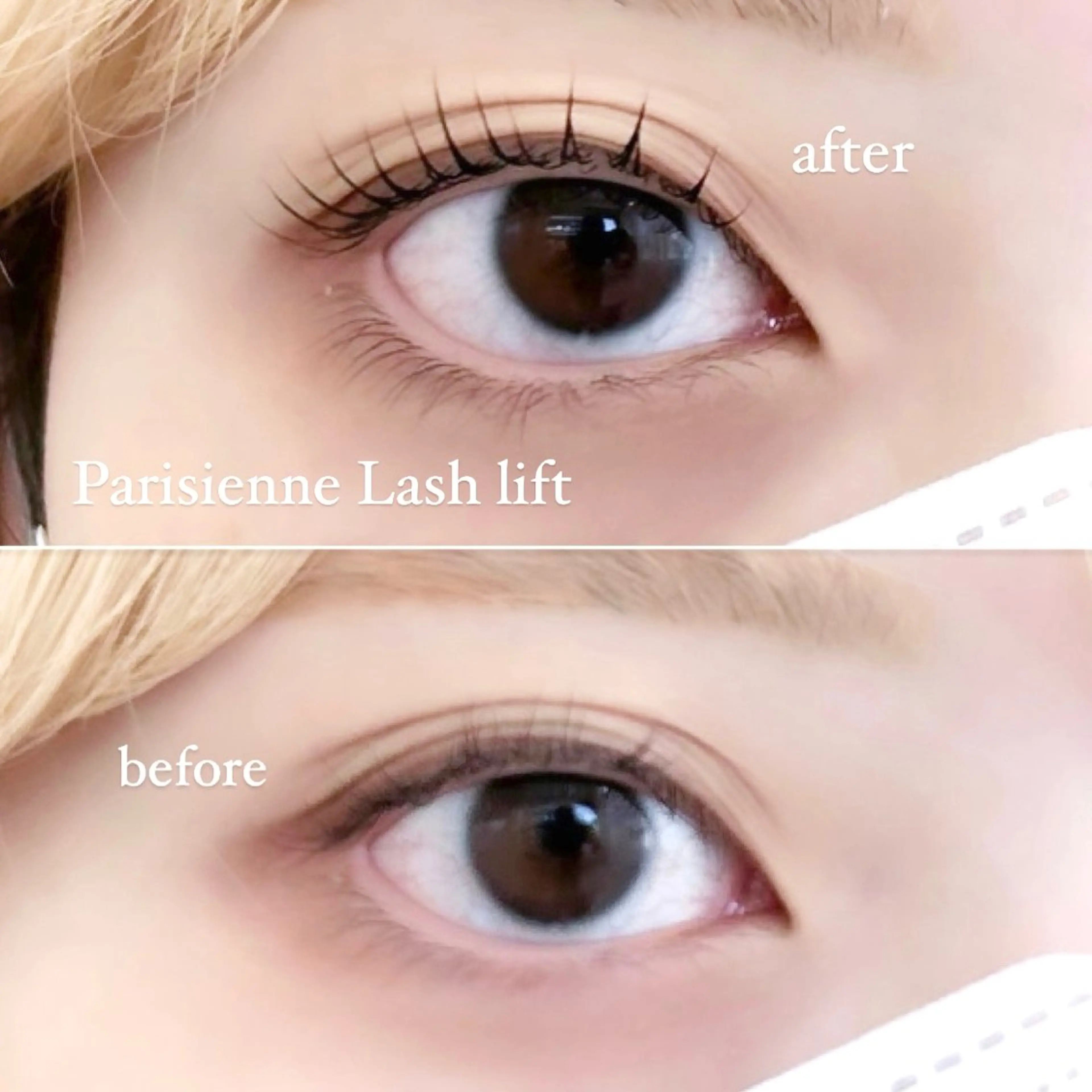 マツエク・マツパ eye__shu🥀 island 鎌倉の眉毛・アイブロウイメージ