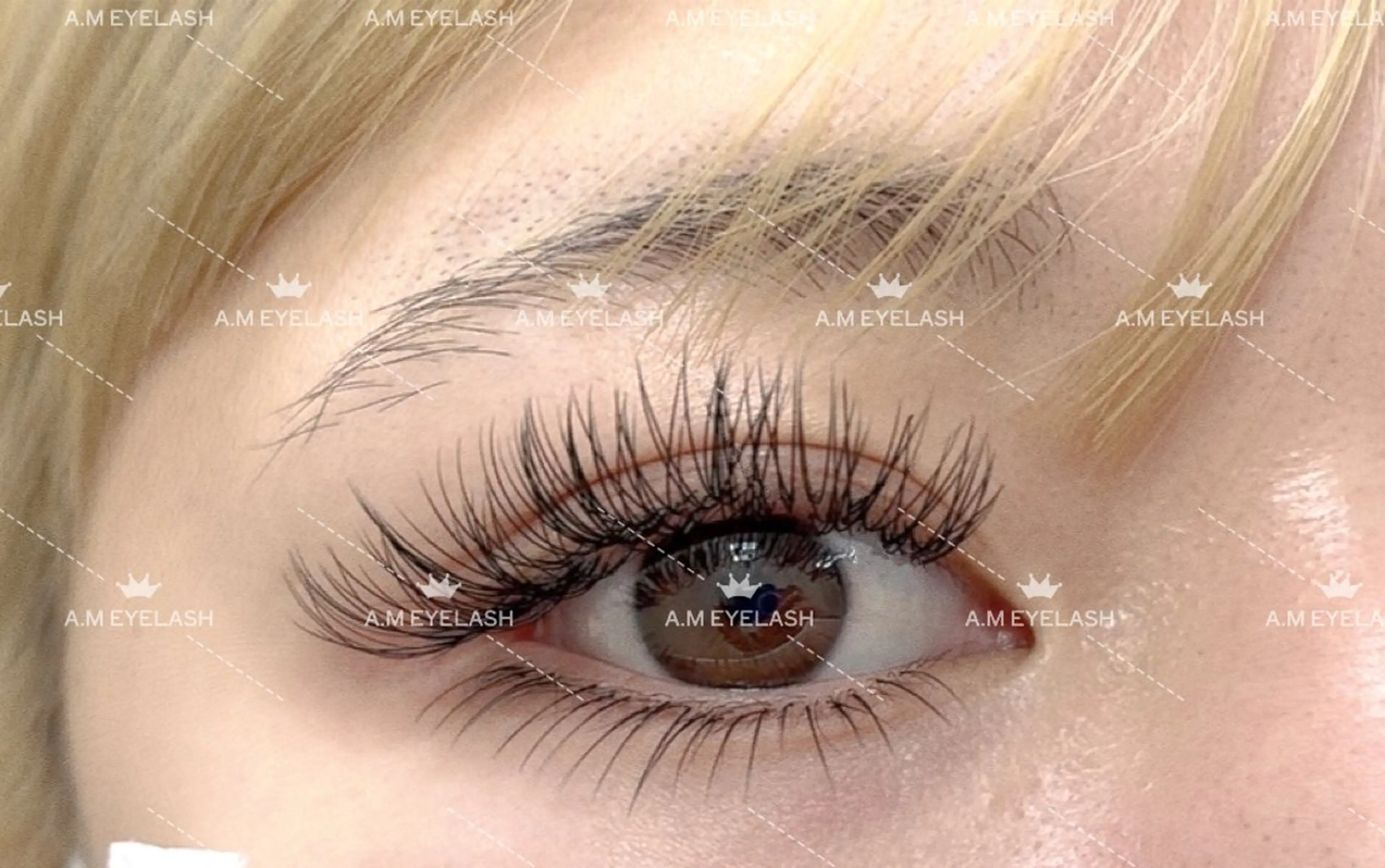 マツエク・マツパ 付け放題 フラットラッシュ A.MEYELASH SALON大久保店のマツエク・マツパデザイン