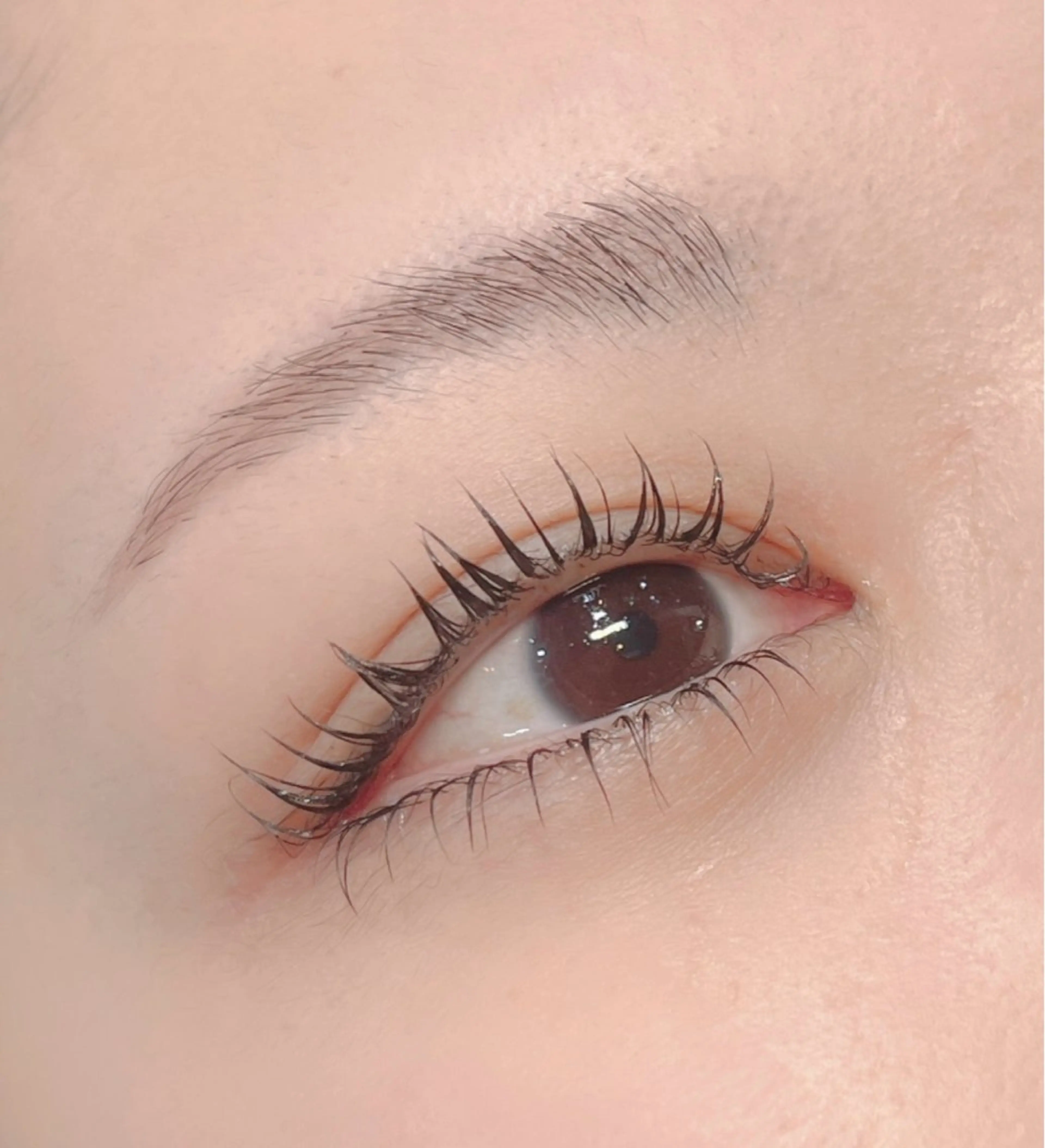 マツエク・マツパ まつげパーマ 下まつげエクステ IIJIMA /まつパ/パリ/束感のマツエク・マツパデザイン