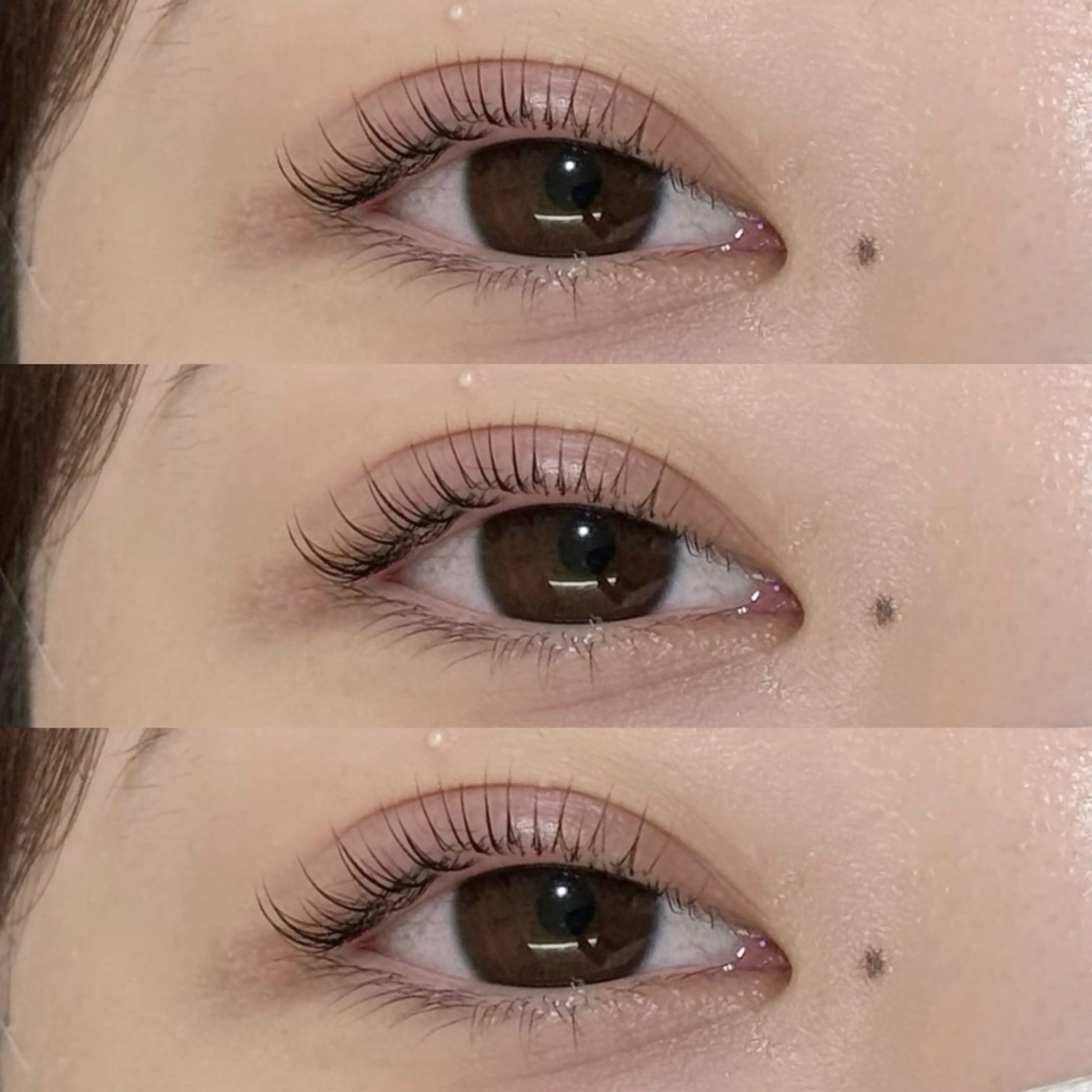 【ミニモ限定価格】上まつ毛パーマ(コーティング仕上げ✨)の写真