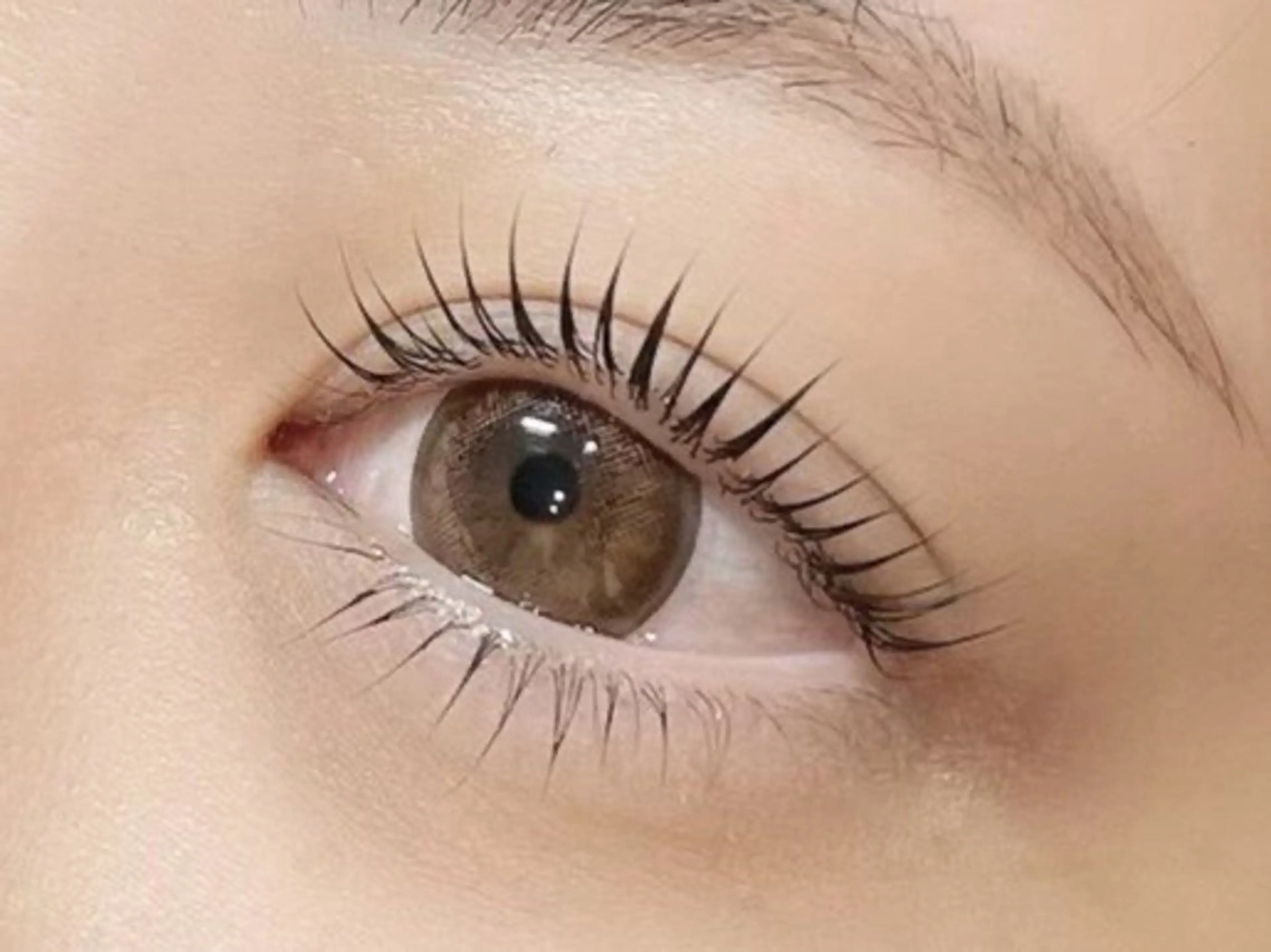 本日27日限定パリジェンヌ★1名様限定！！の写真