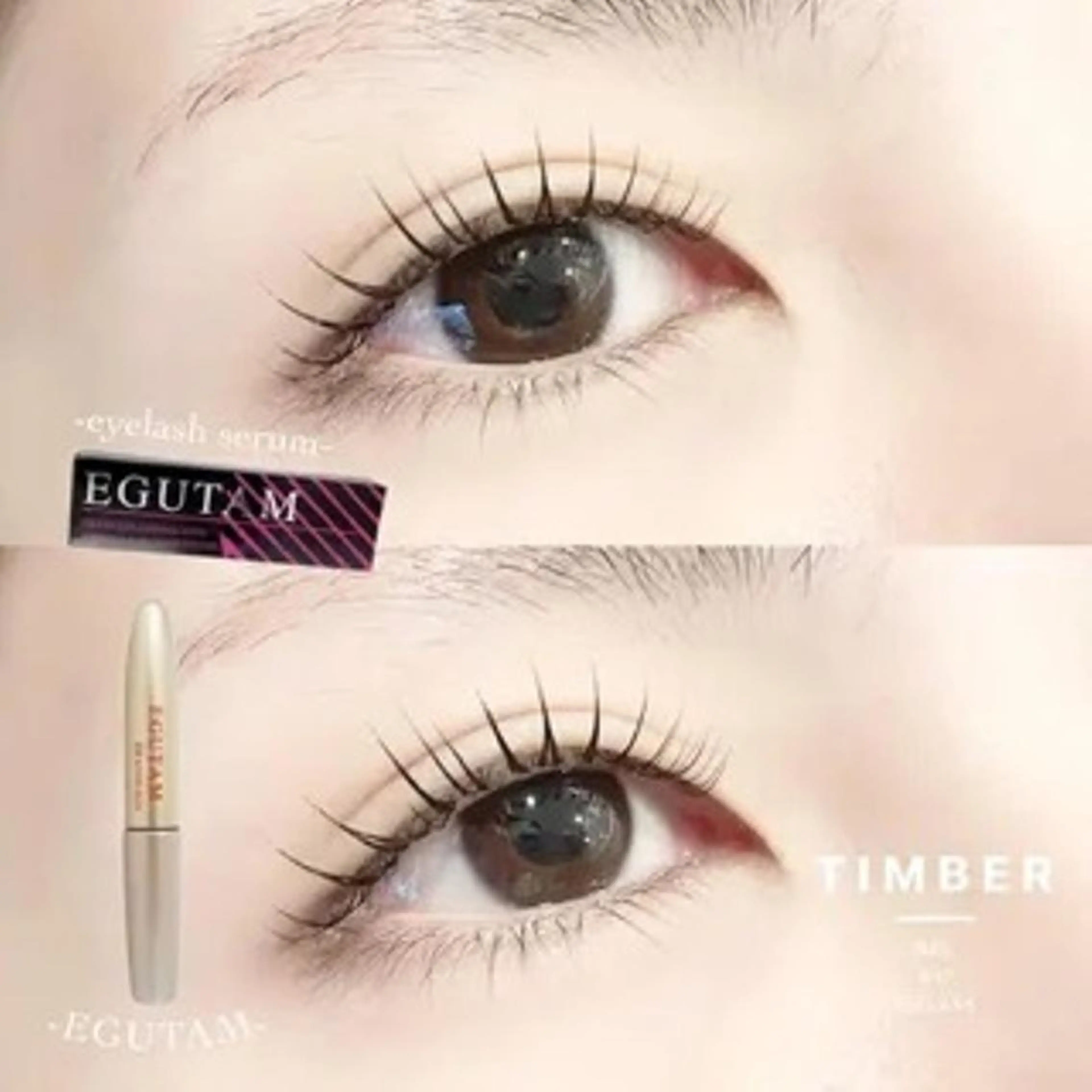 ✨️数量限定✨️EGUTAM【エグータム】美容液1本プレゼント🎁×次世代まつげパーマ【パリジェンヌorラッシュリフト】の写真