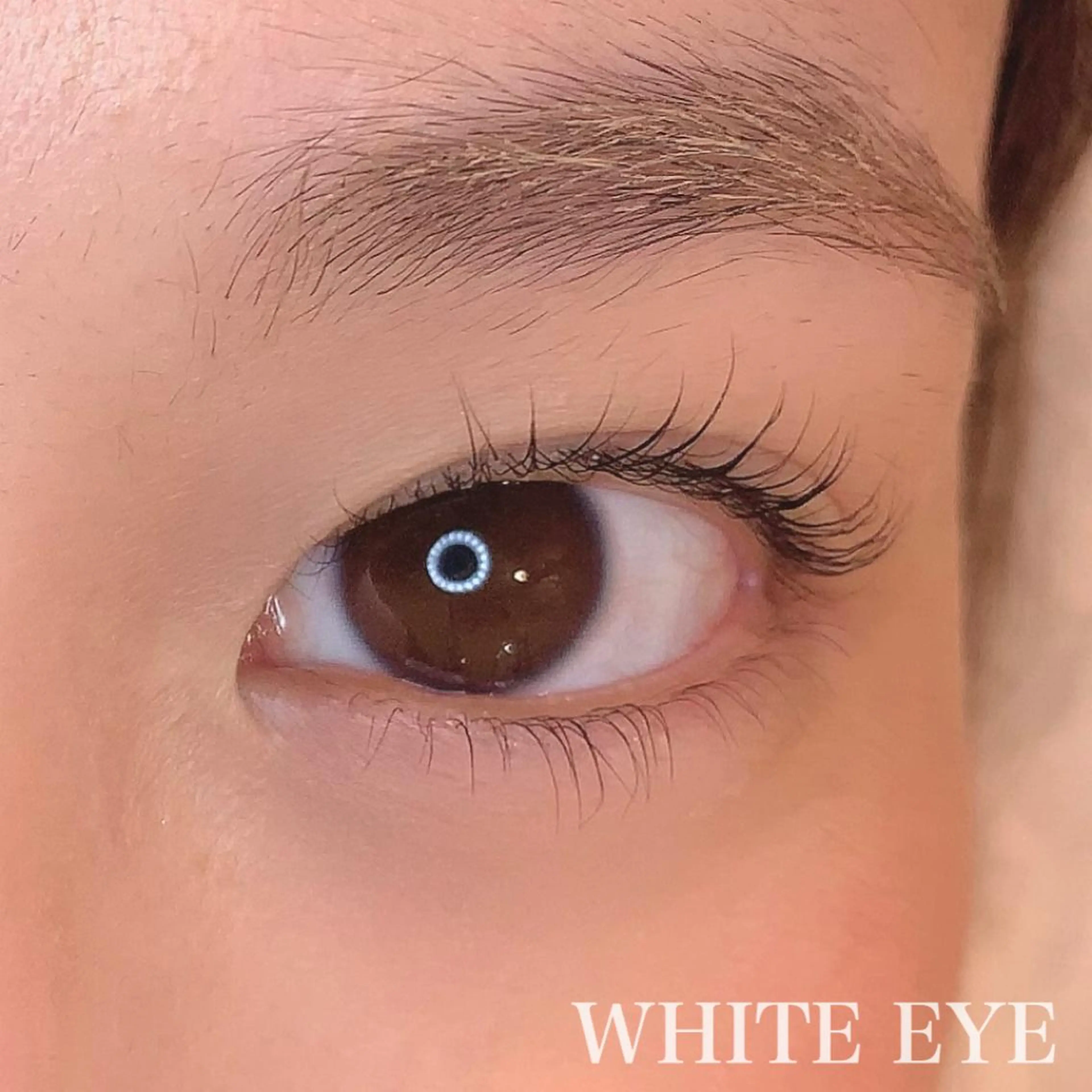 マツエク・マツパ WHITE EYE 🤍Mayukaの眉毛・アイブロウイメージ
