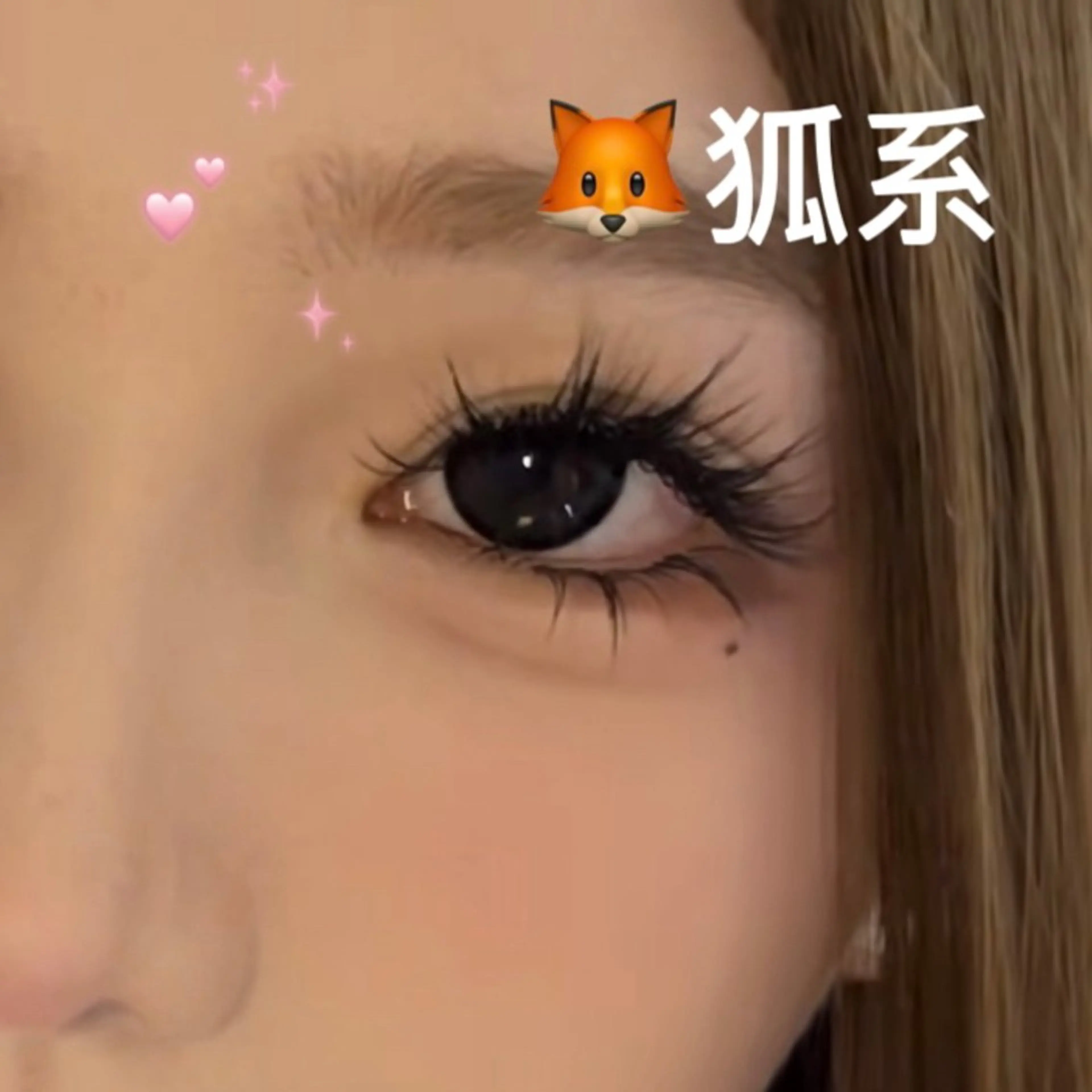 マツエク・マツパ マツエク Best  Eyelash所属・Shina 🌺ワンホン専門のマツエク・マツパデザイン